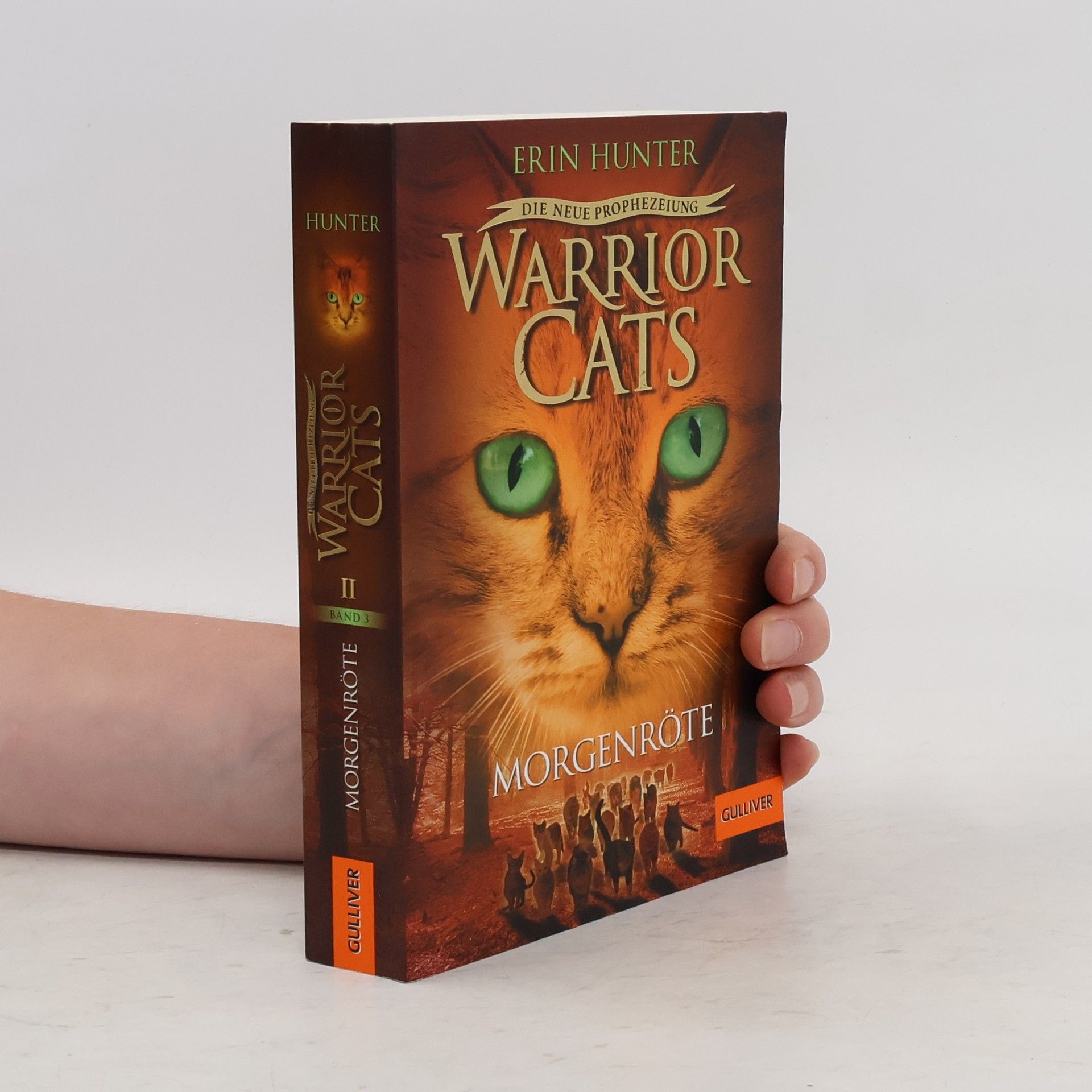 Erin Hunter Warrior Cats. Die neue Prophezeiung Band 3. Morgenröte