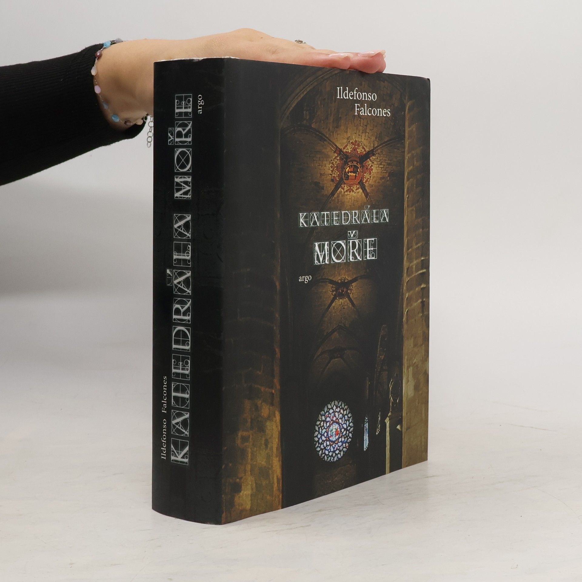 Ildefonso Falcones Katedrála moře