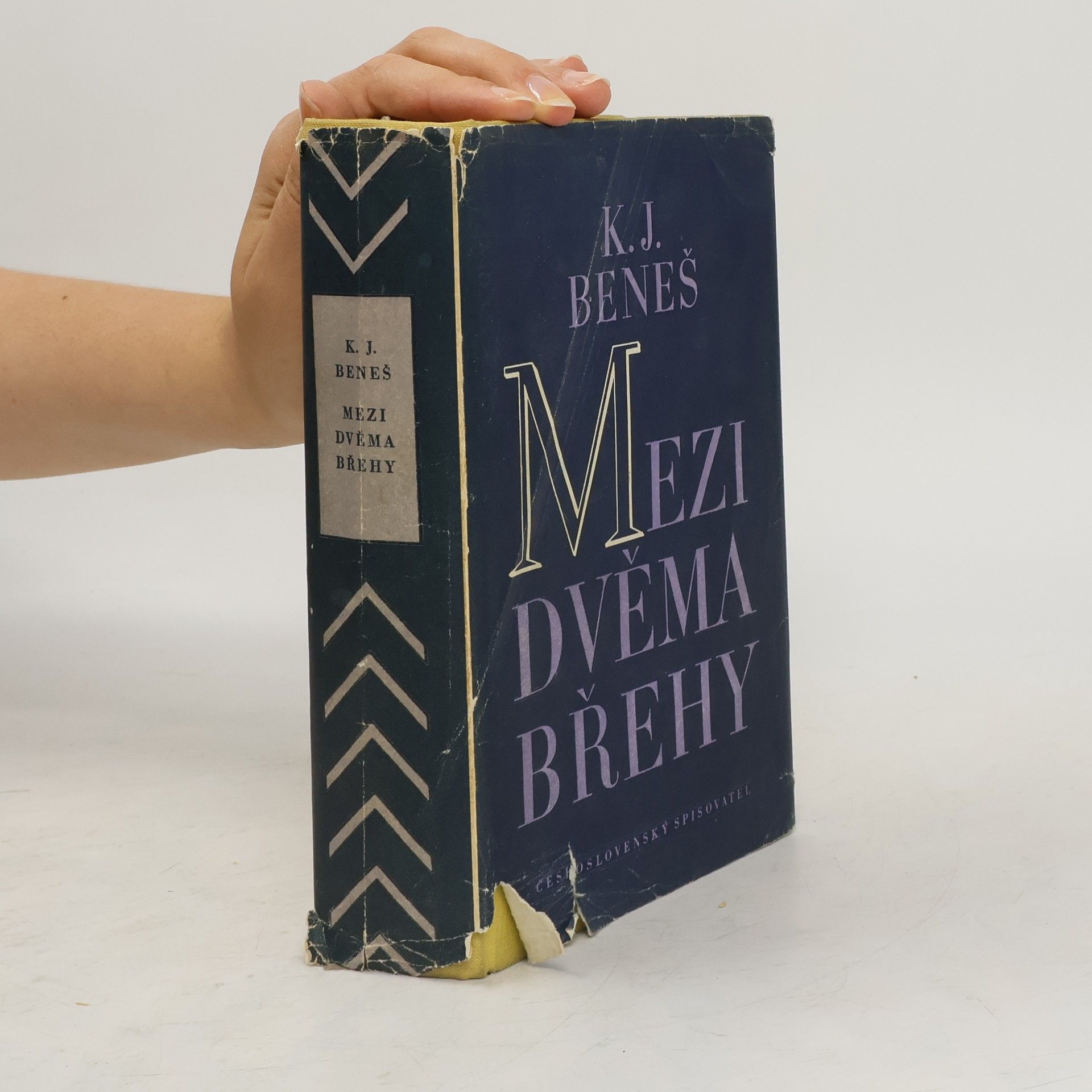 Karel Josef Beneš Mezi dvěma břehy