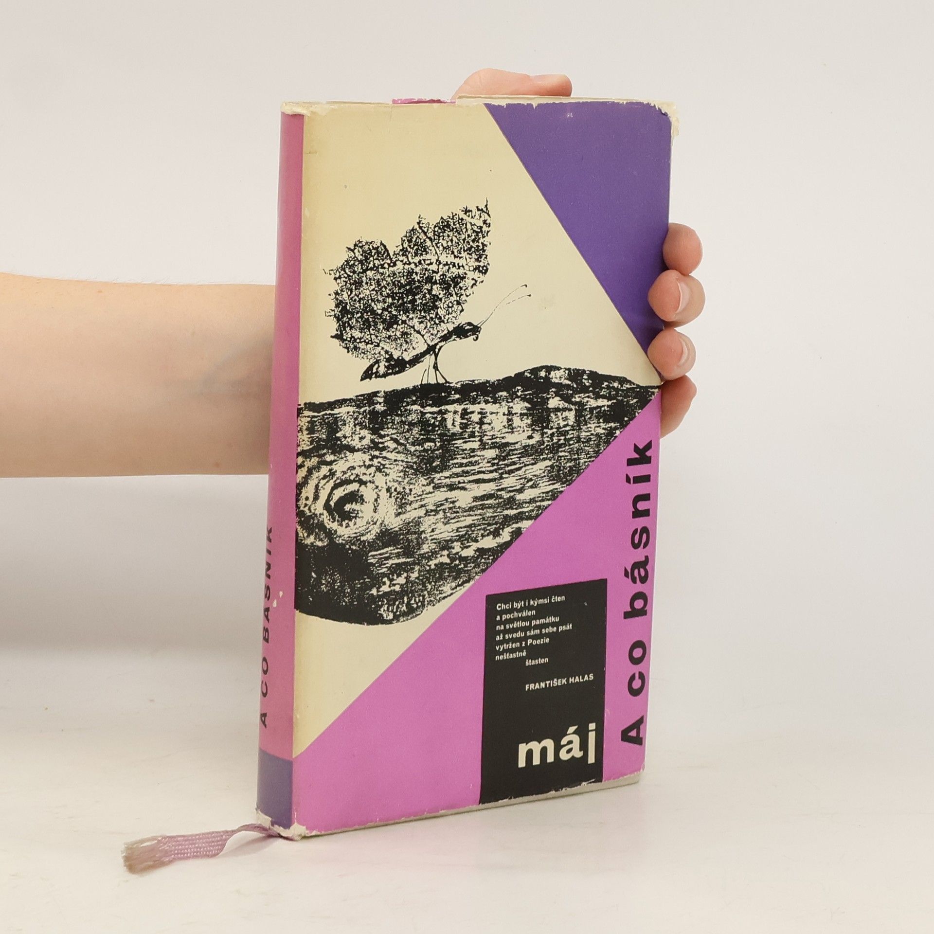 Karel Šiktanc A co básník