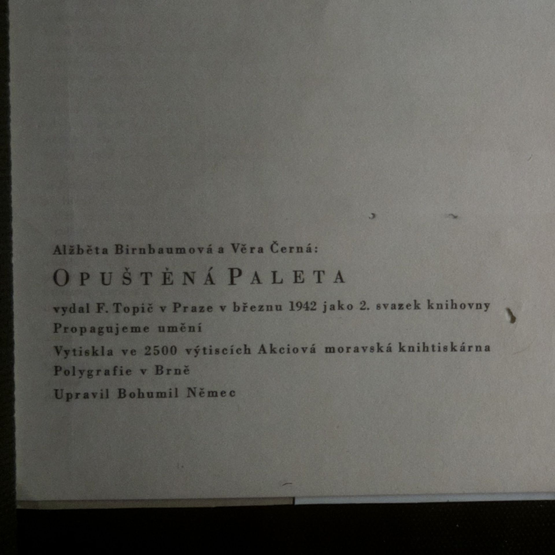 Alžběta Birnbaumová Opuštěná paleta. Sborník malířů, kteří odešli předčasně