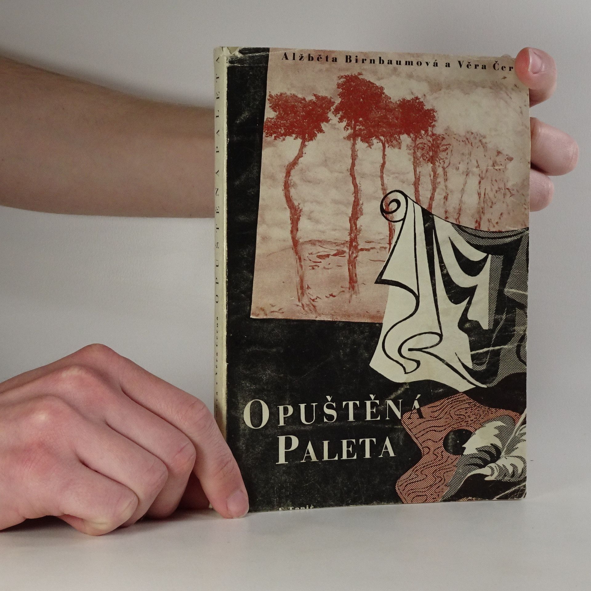 Alžběta Birnbaumová Opuštěná paleta. Sborník malířů, kteří odešli předčasně