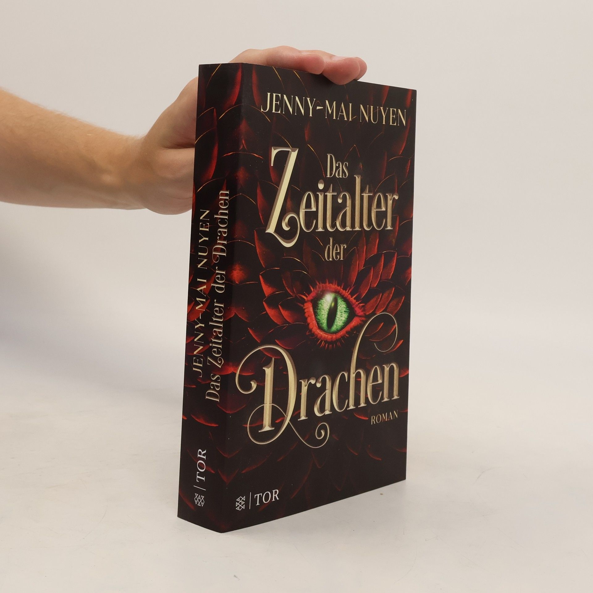 Jenny-Mai Nuyen Das Zeitalter der Drachen