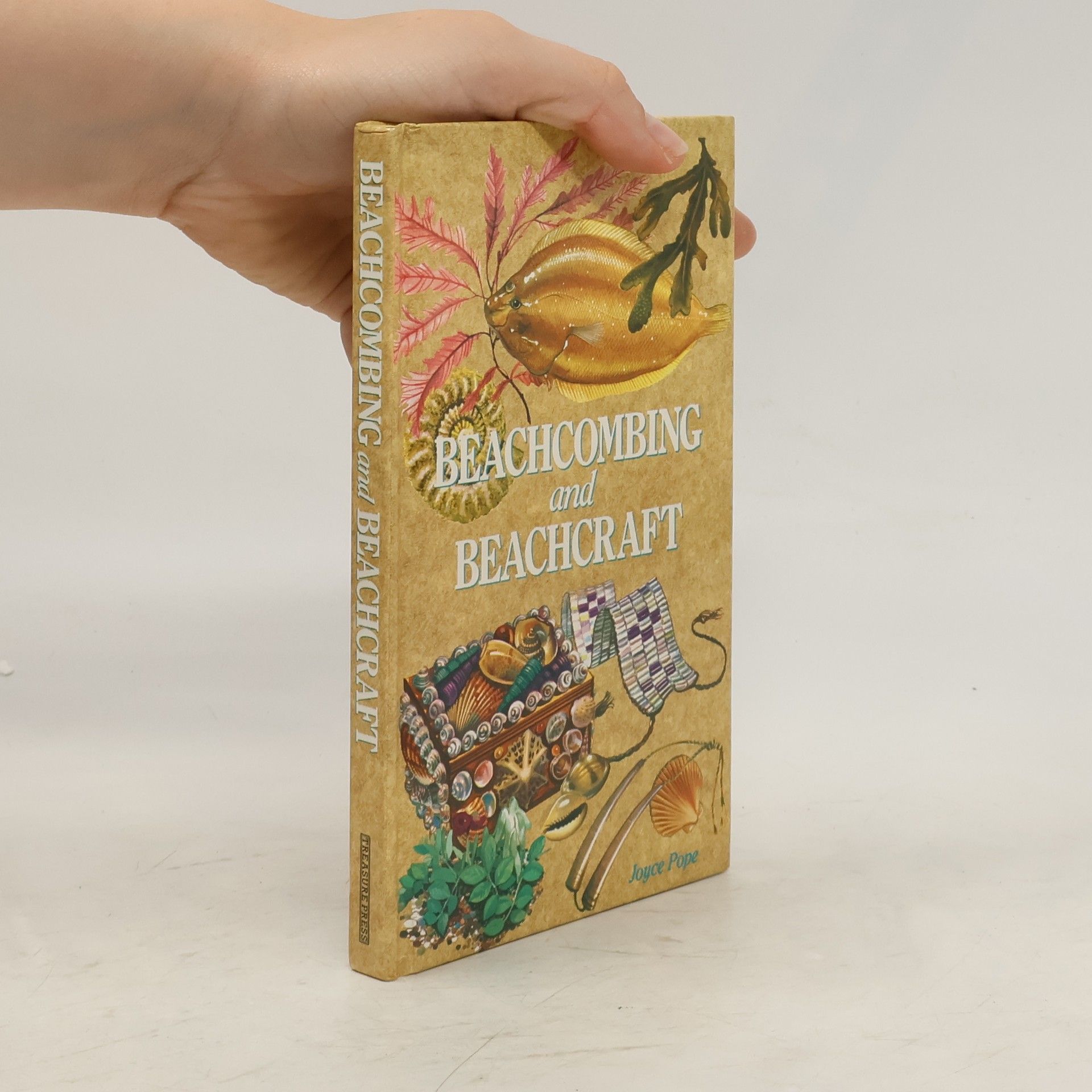 Joyce Pope Beachcombing and Beachcraft