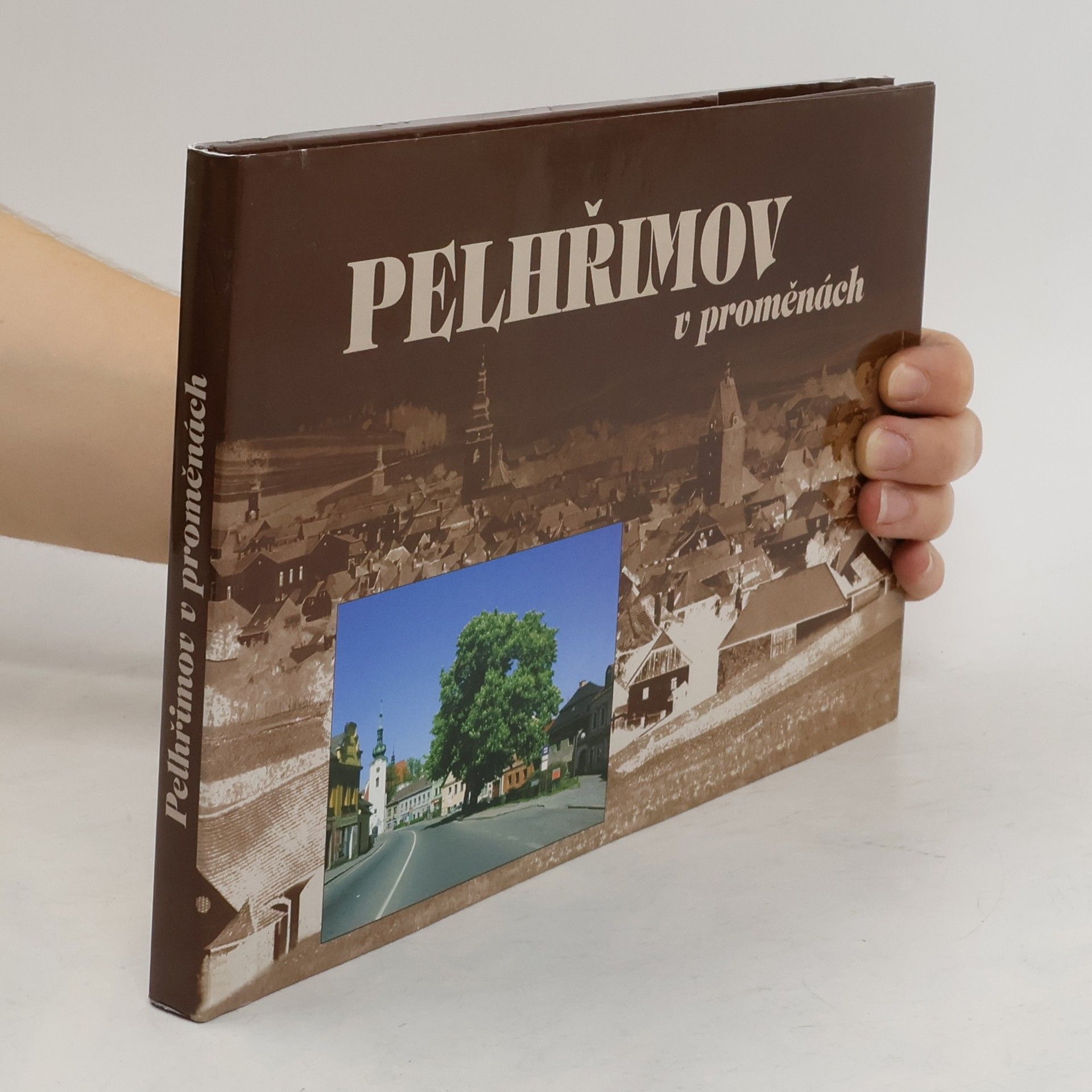Miroslava Kvášová Pelhřimov v proměnách
