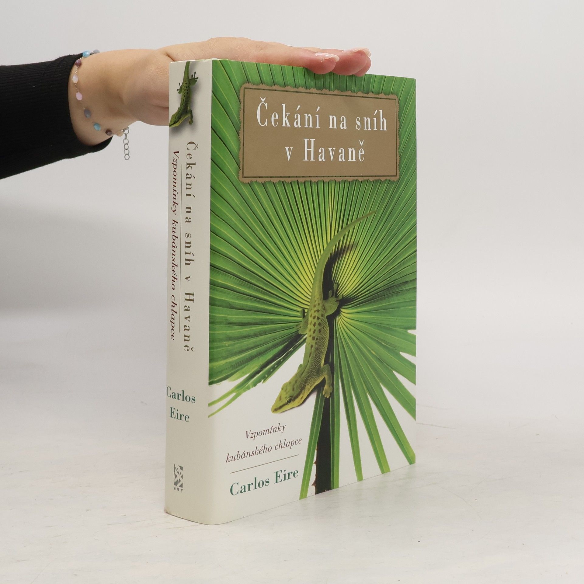 Carlos Eire Čekání na sníh v Havaně