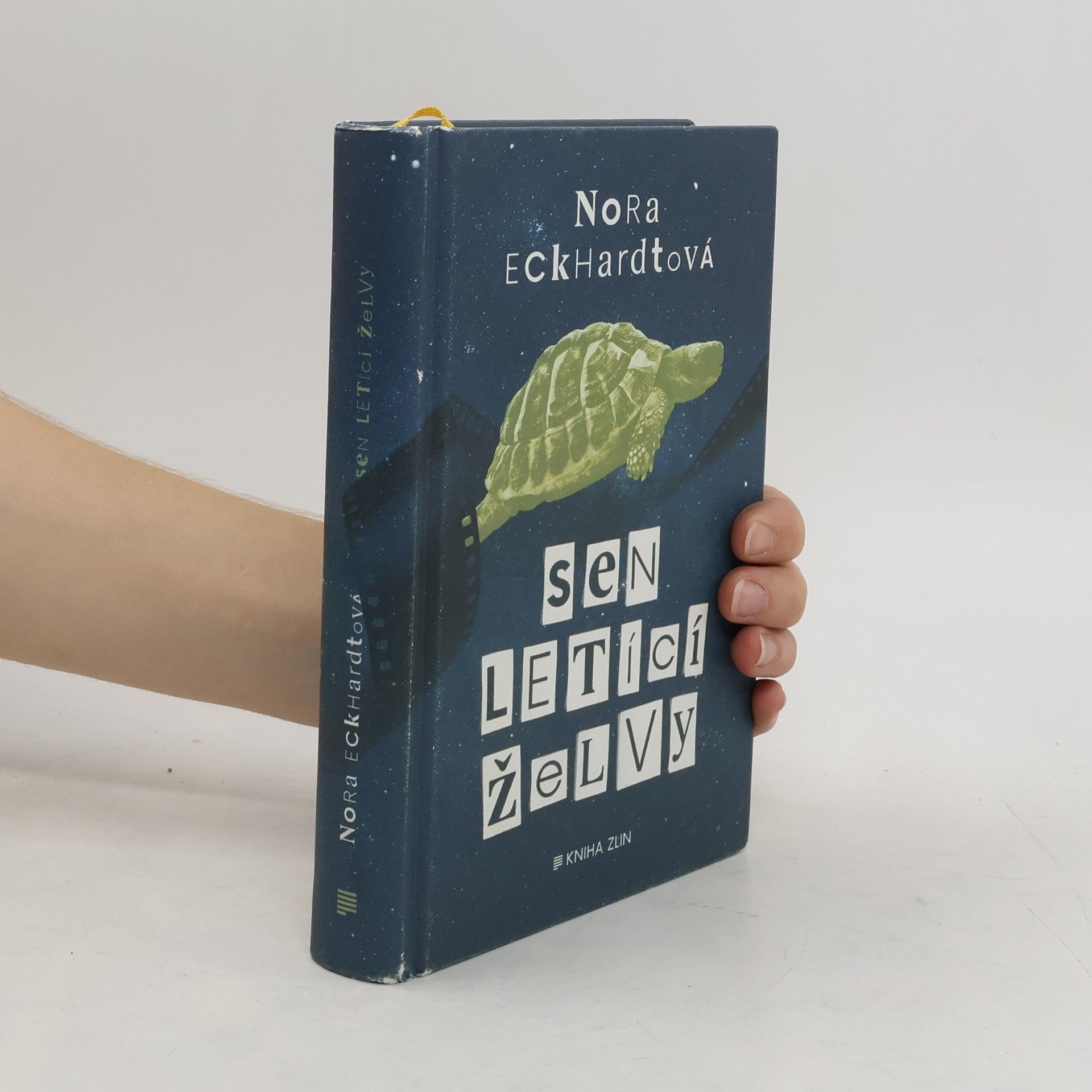 Nora Eckhardtová Sen letící želvy