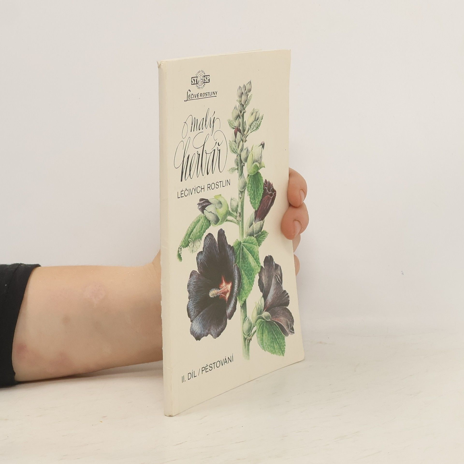 Ludmila Černá Malý herbář léčivých rostlin II. Pěstování