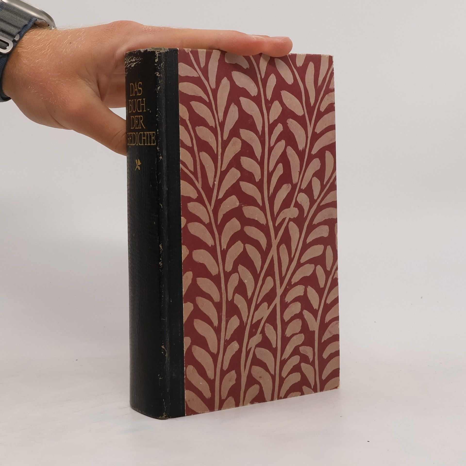 Marianne Hochhuth Das Buch der Gedichte