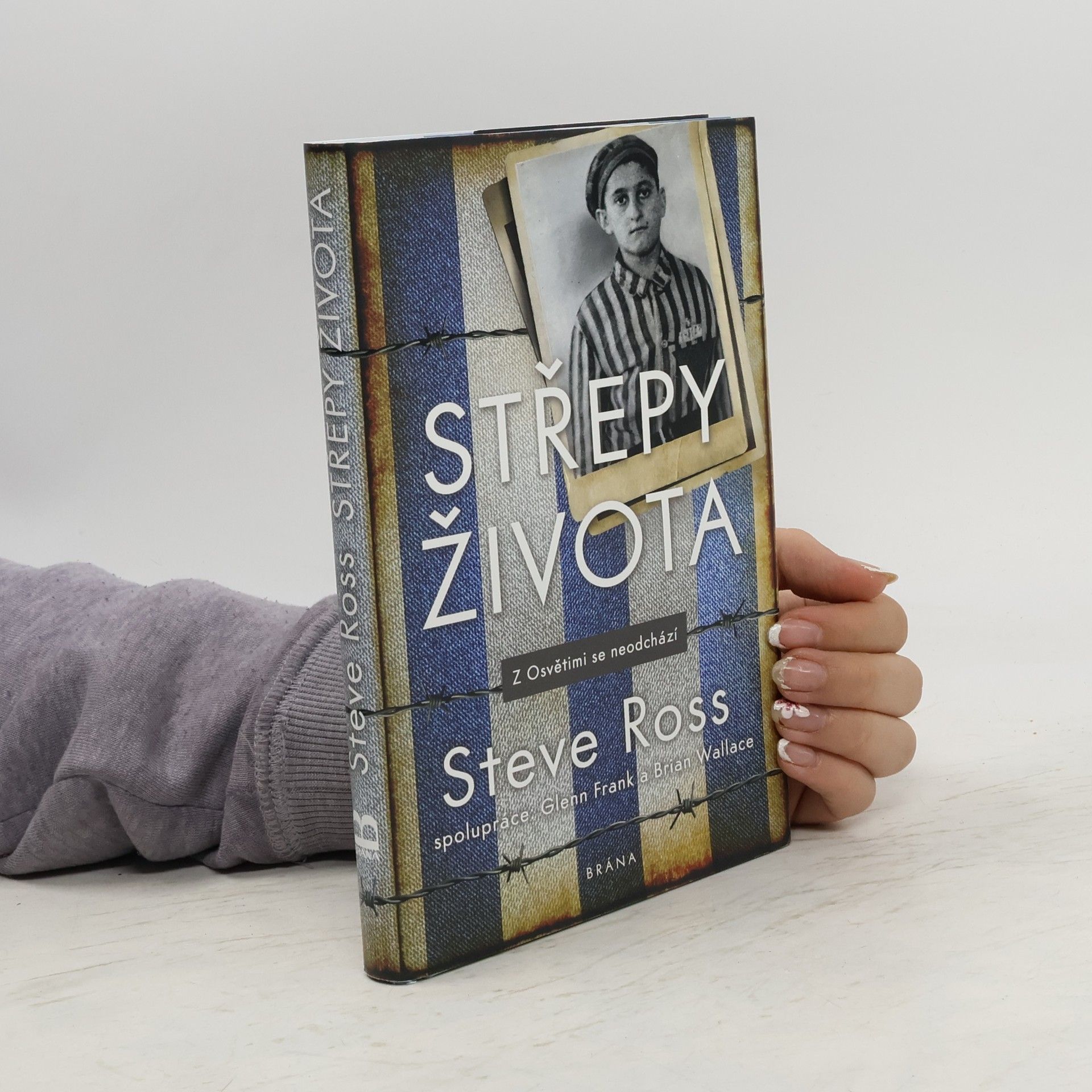 Steve Ross Střepy života