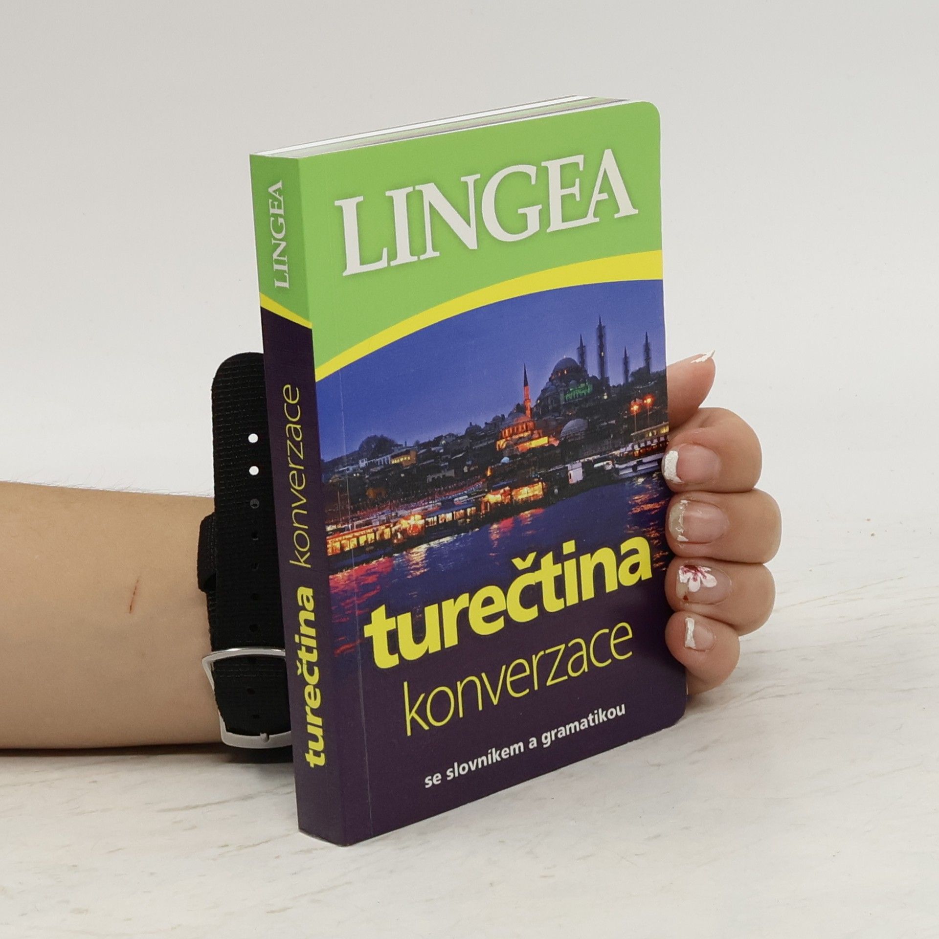 Autorenkollektiv Turečtina. Konverzace