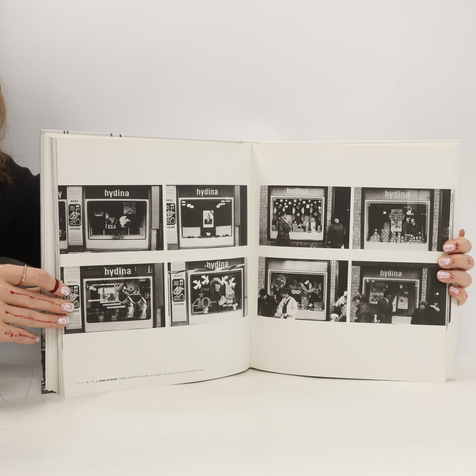 Autorenkollektiv Bratislava zadným vchodom 1918 - 2005