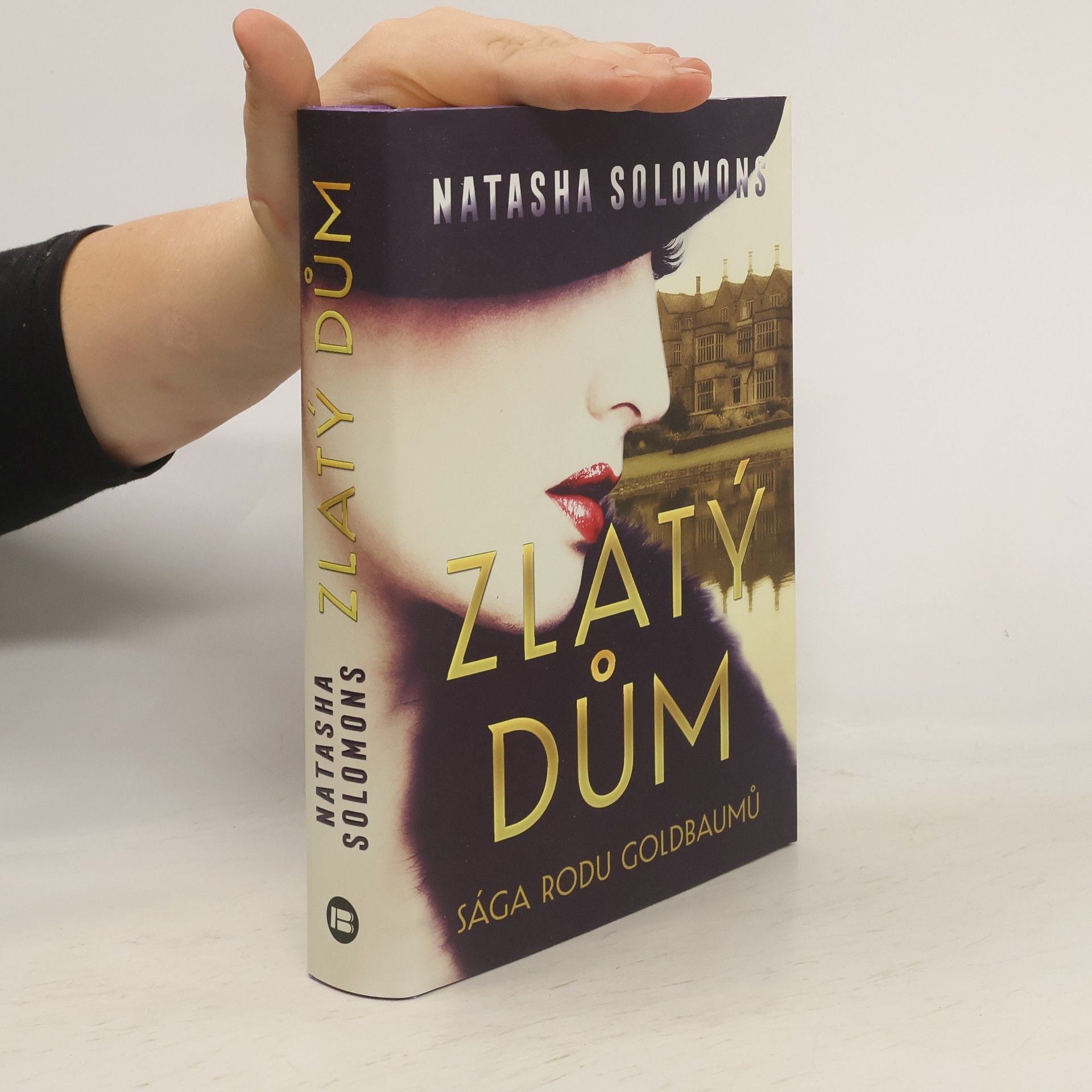 Natasha Solomons Zlatý dům