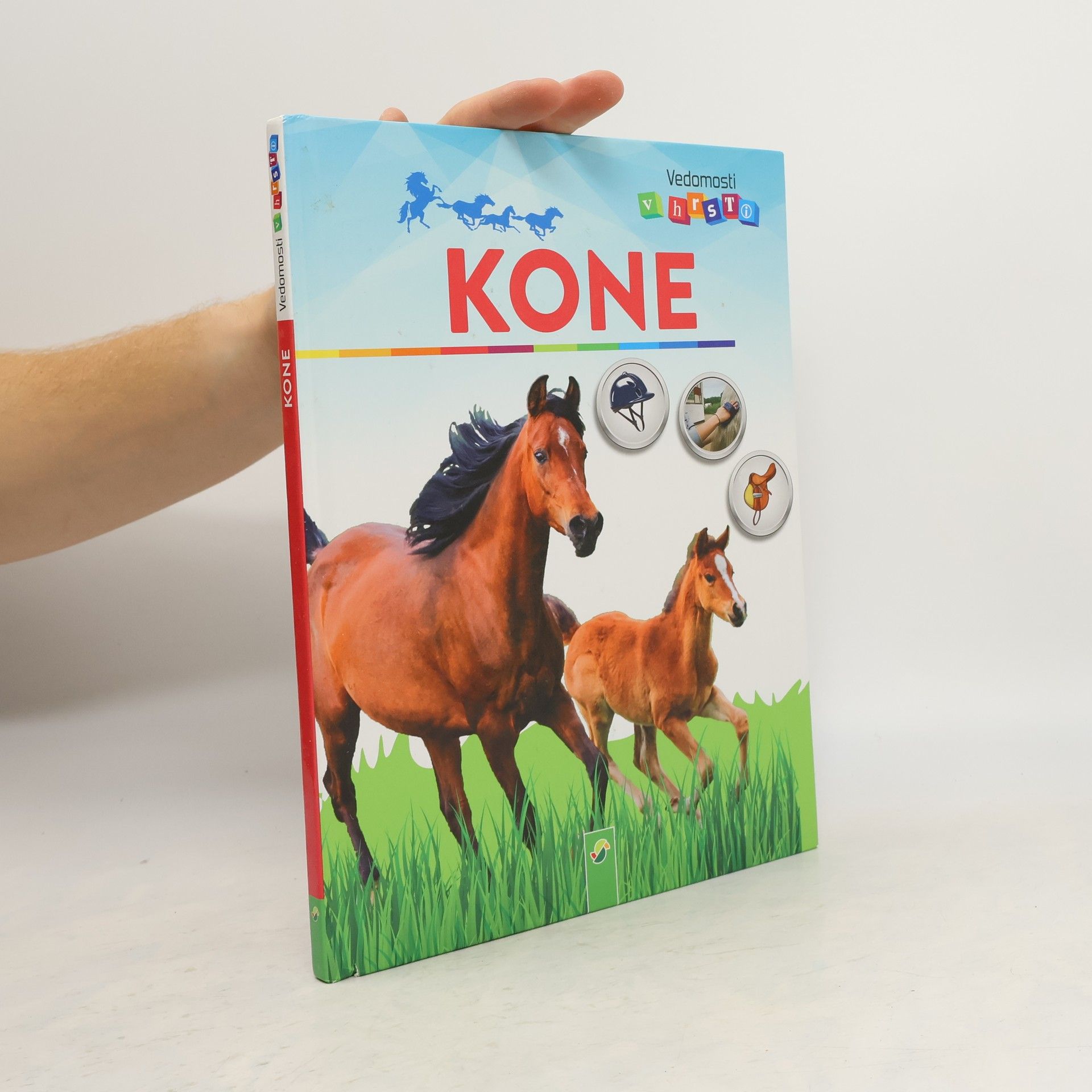 Anja Schriever Kone