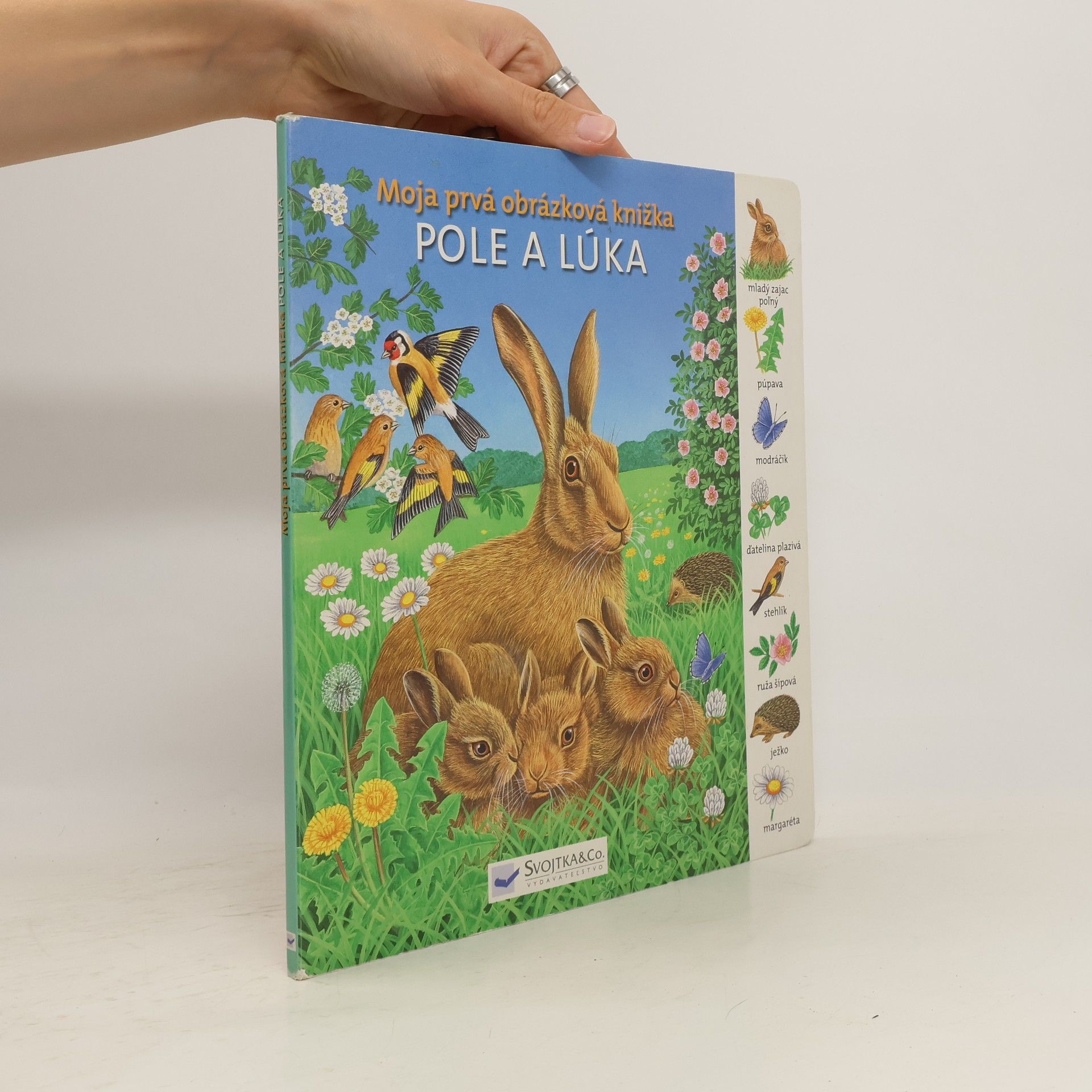 Autorenkollektiv Moja prvá obrázková knižka - Pole a lúka