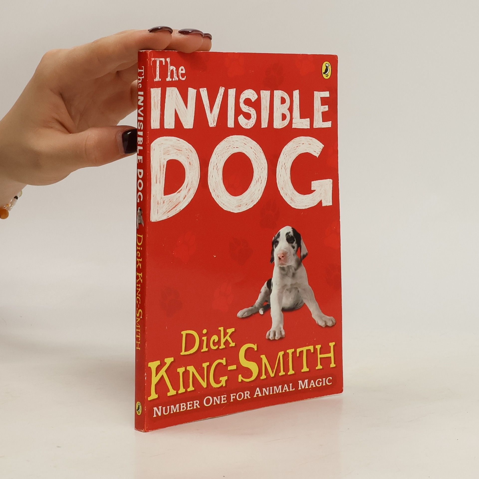 Dick King-Smith The Invisible Dog