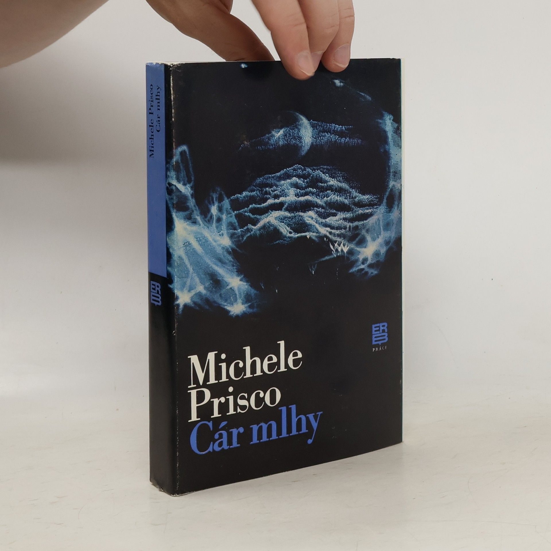 Michele Prisco Cár mlhy