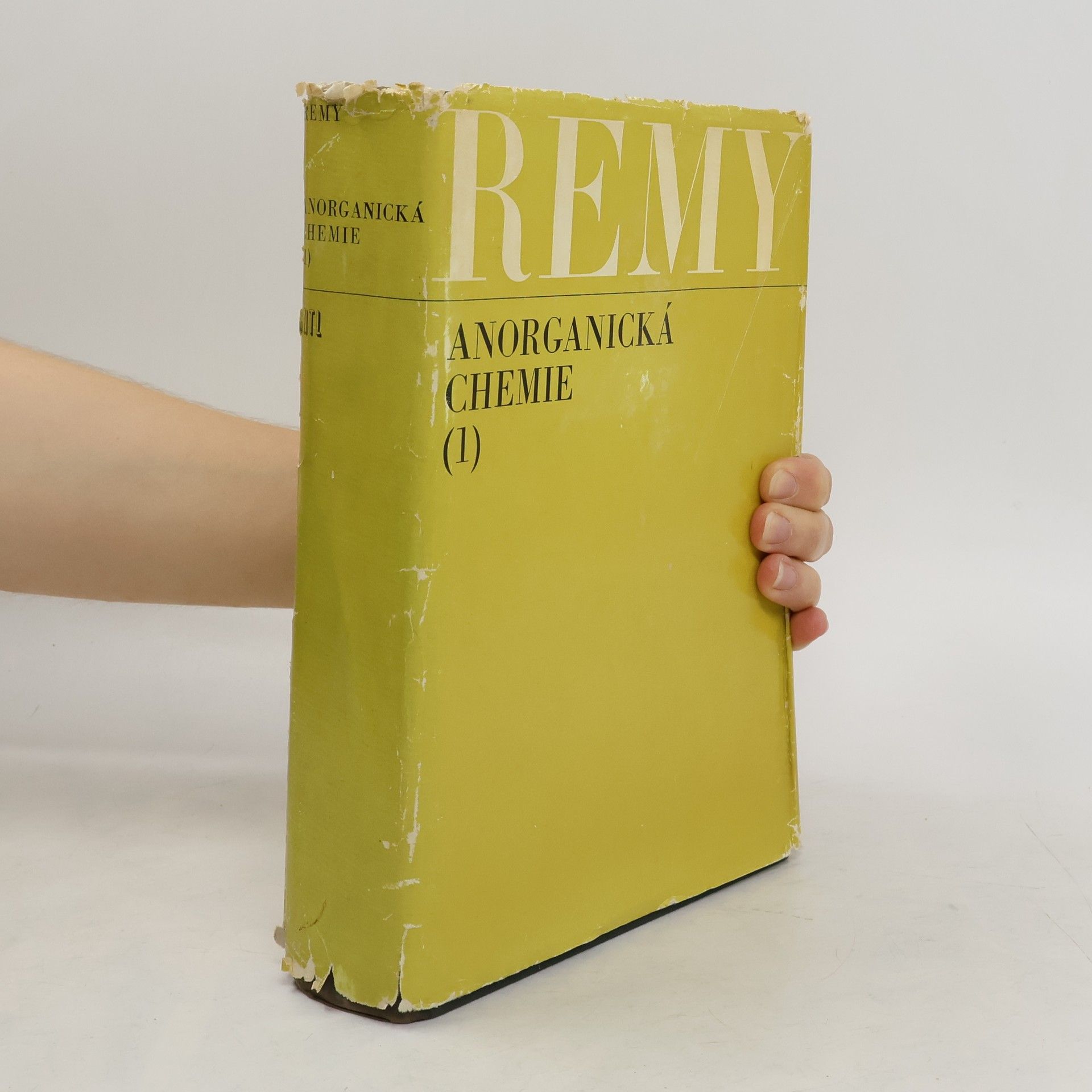 Heinrich Remy Anorganická chemie 1. díl