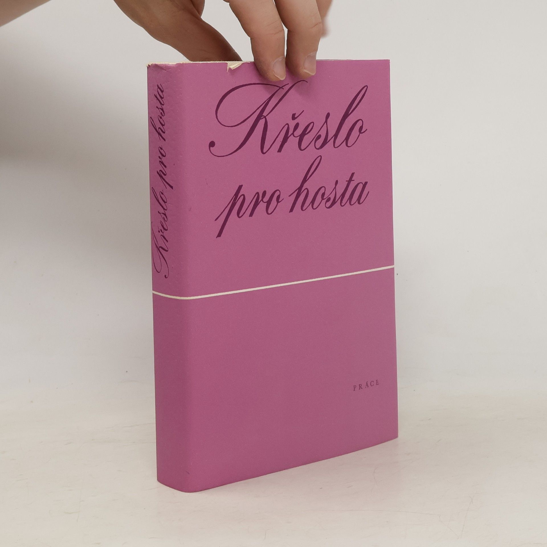 Jan Zelenka Křeslo pro hosta