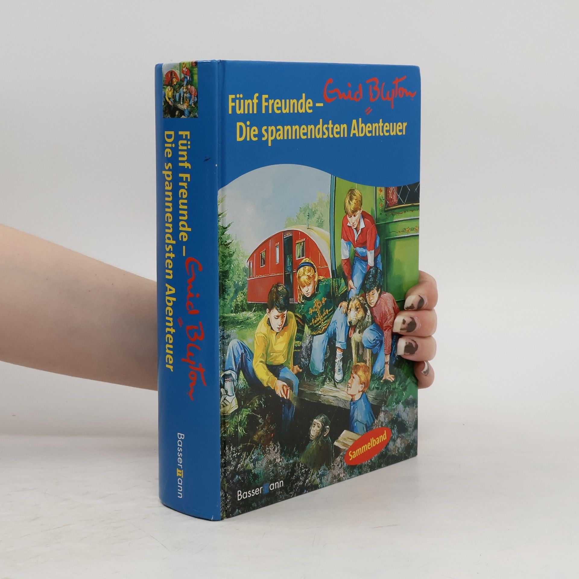 Enid Blyton Fünf Freunde - die spannendsten Abenteuer