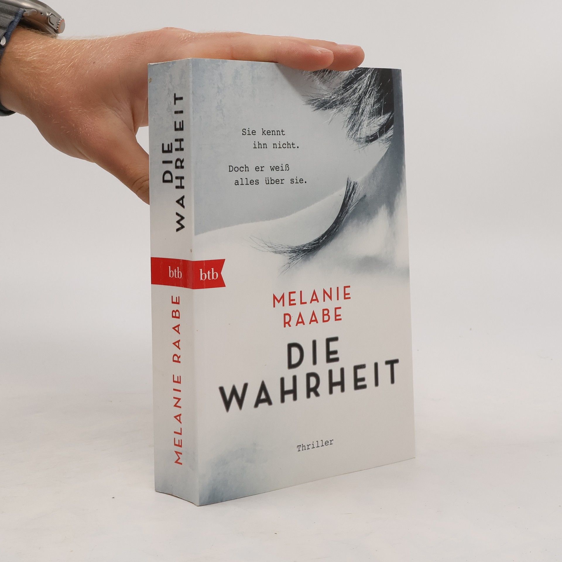 Melanie Raabe Die Wahrheit