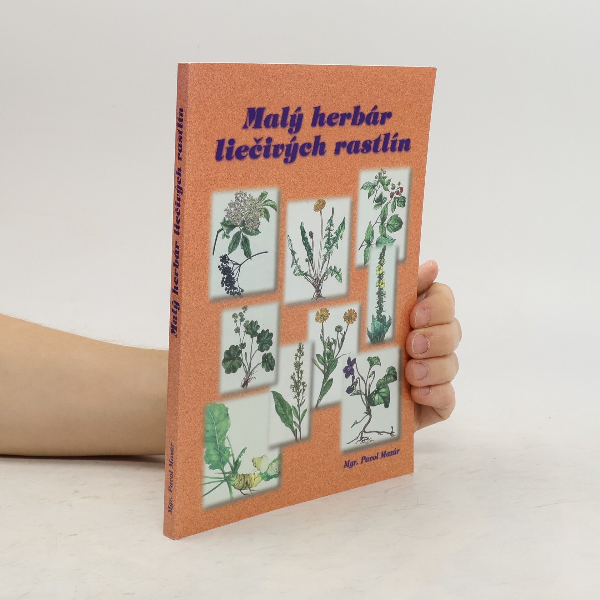 Pavol Mazúr Malý herbár liečivých rastlin