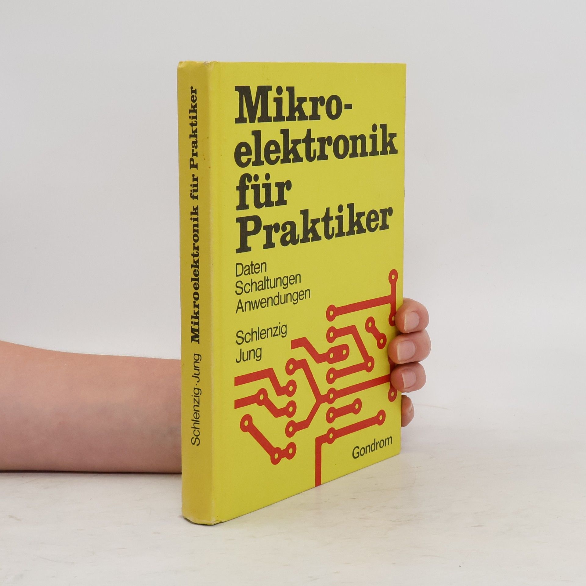 Dieter Jung Mikroelektronik für Praktiker