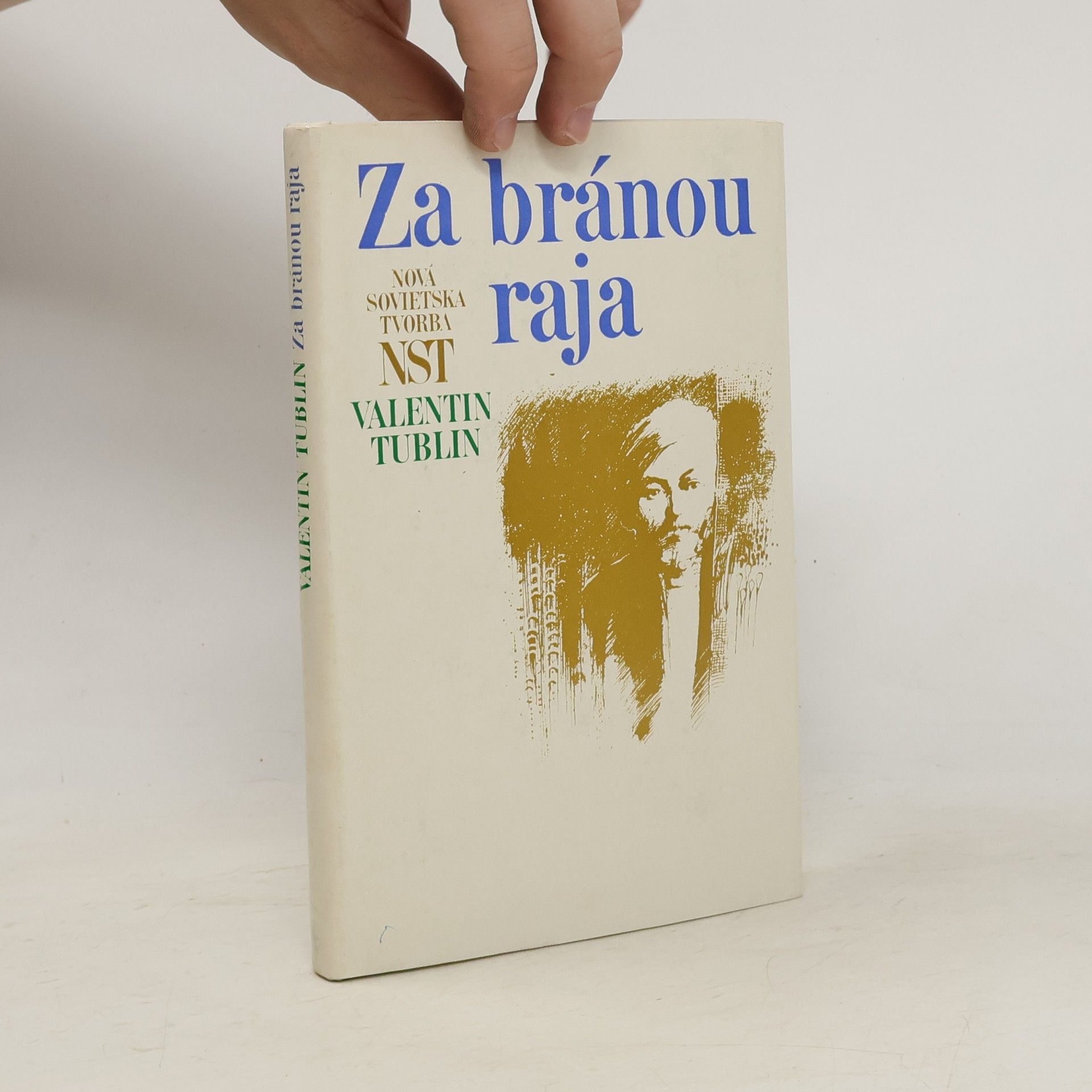 Valentin Solomonovič Tublin Za bránou raja