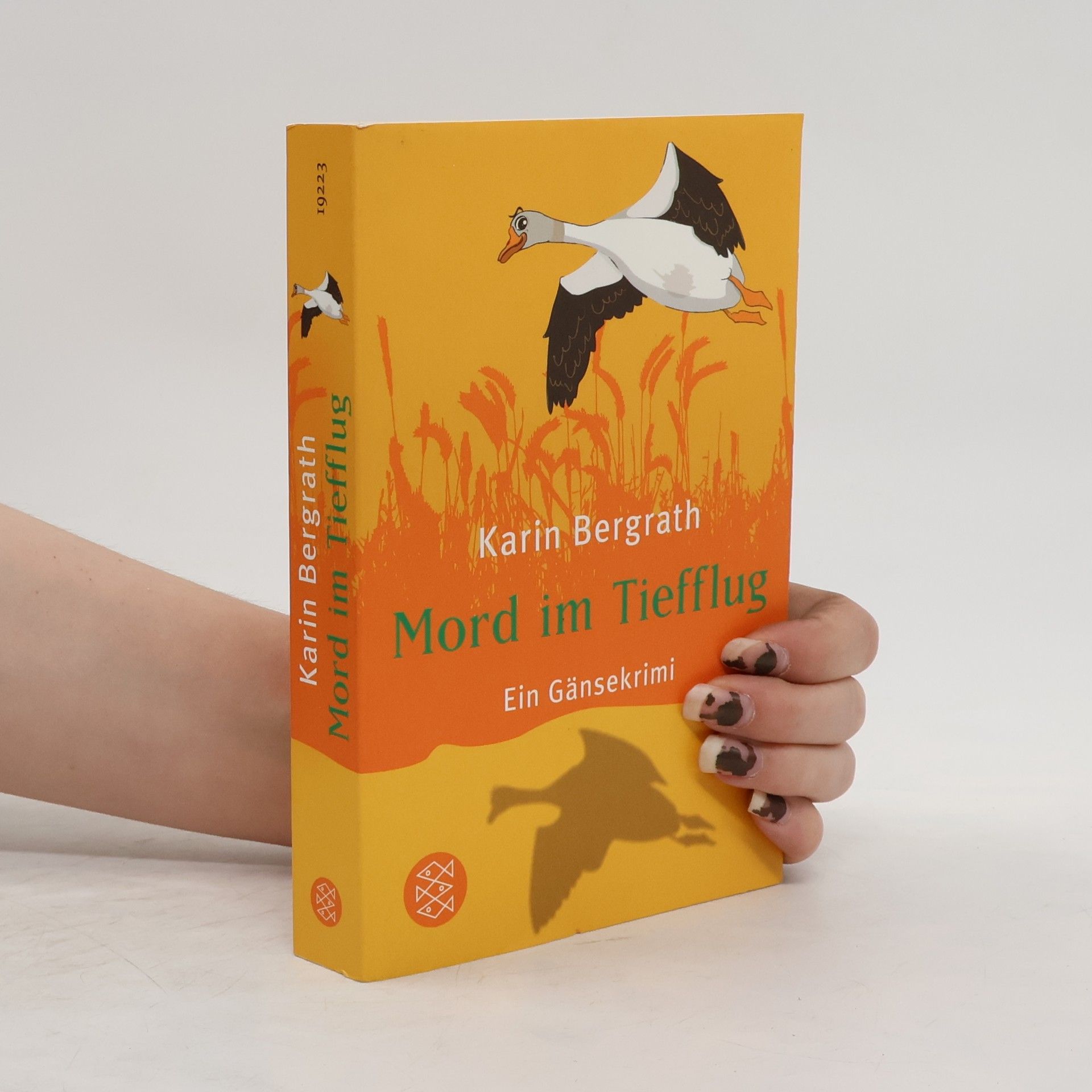 Karin Bergrath Mord im Tiefflug