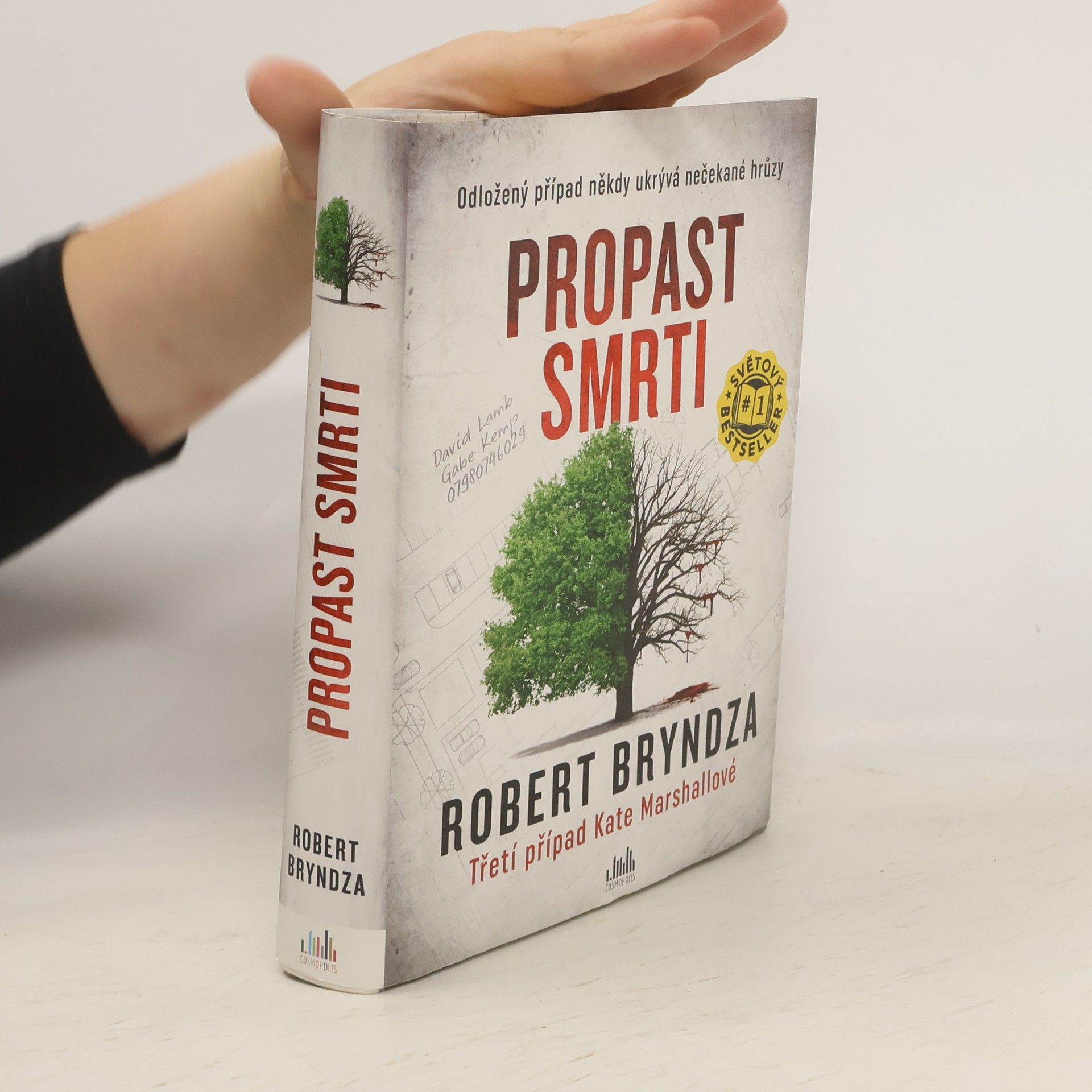 Robert Bryndza Propast smrti