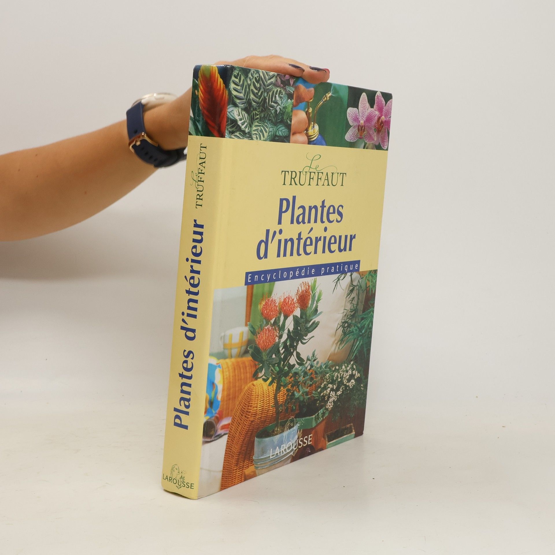 Patrick Mioulane Plantes d'intérieur