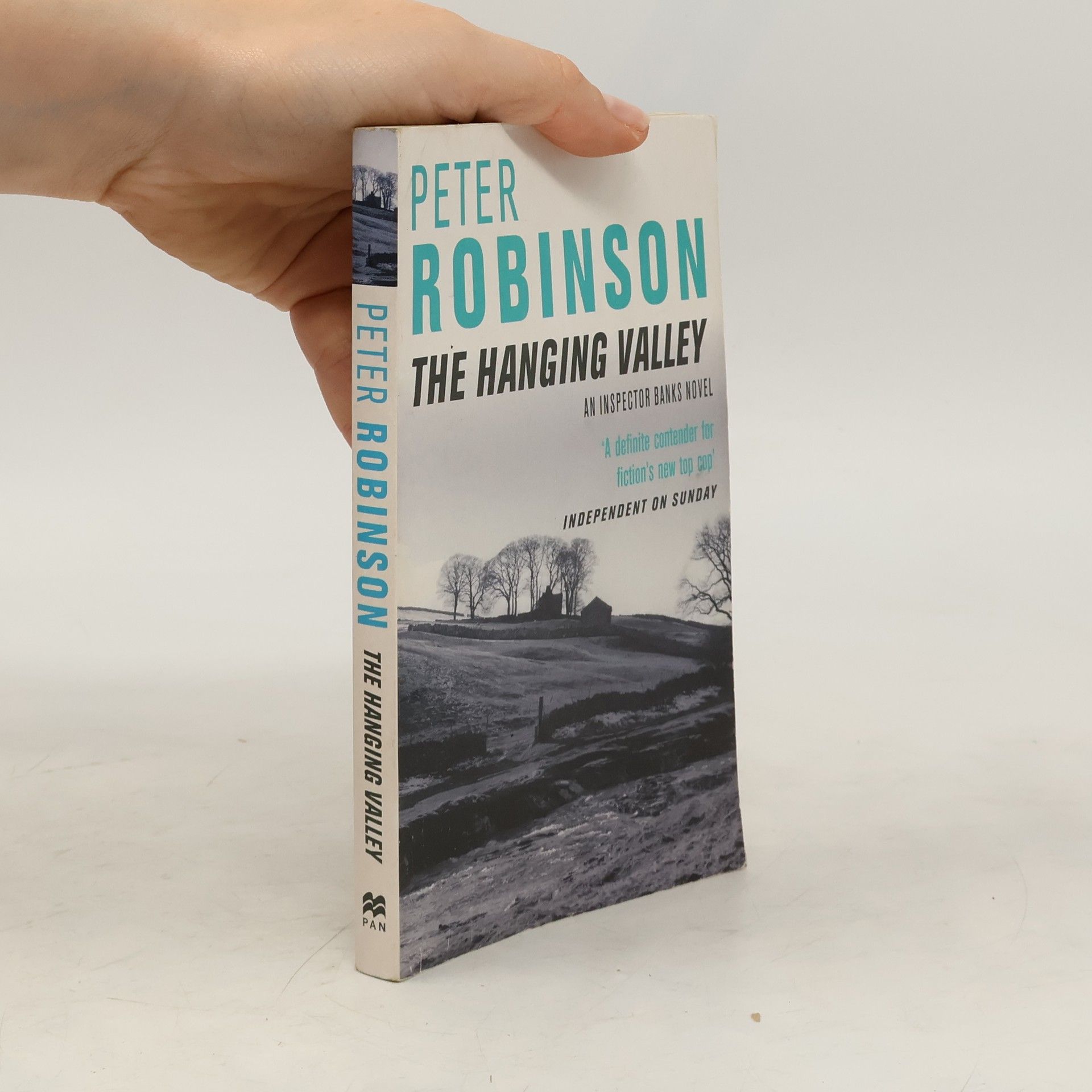 Peter Robinson The Hanging Valley