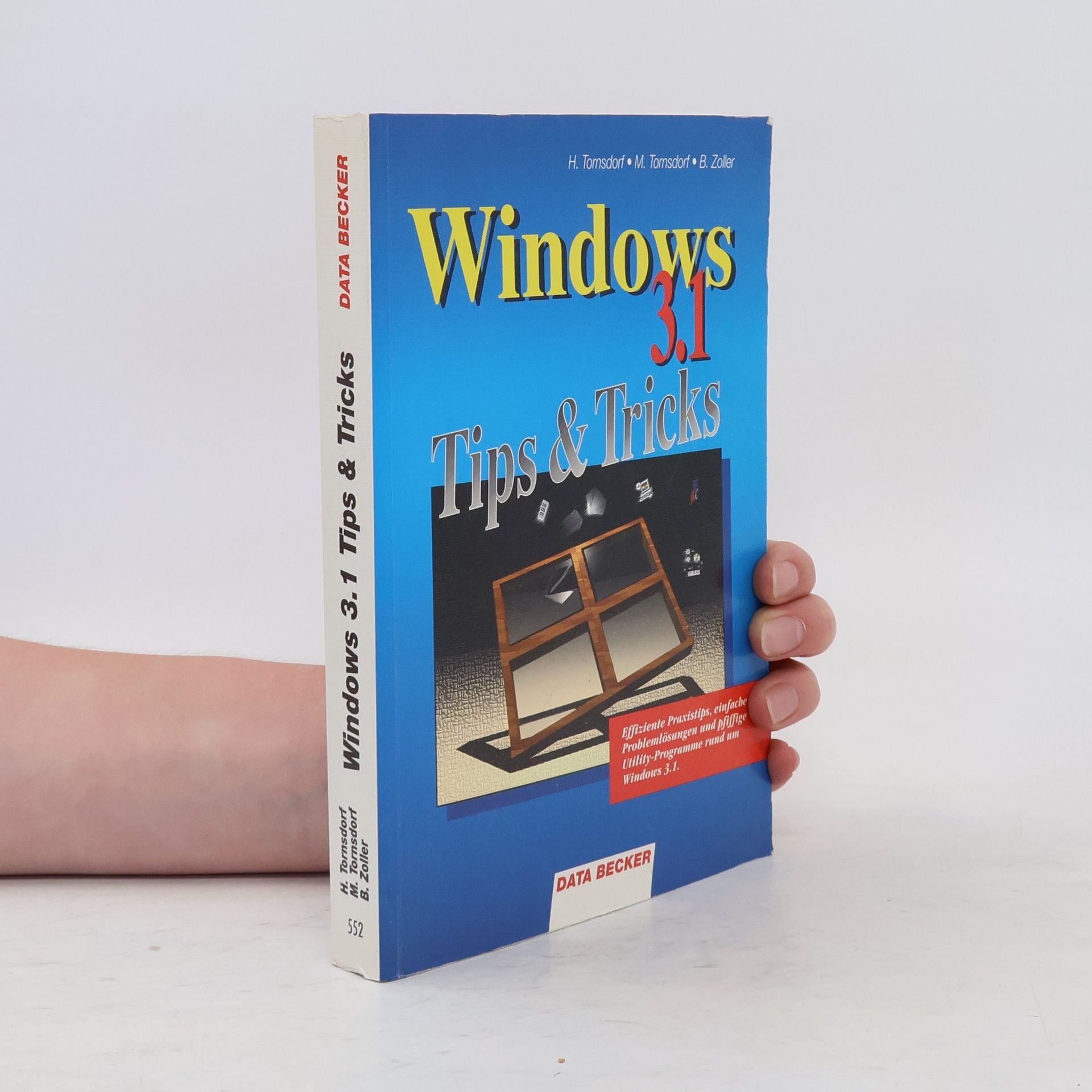 Helmut Tornsdorf Windows 3.1