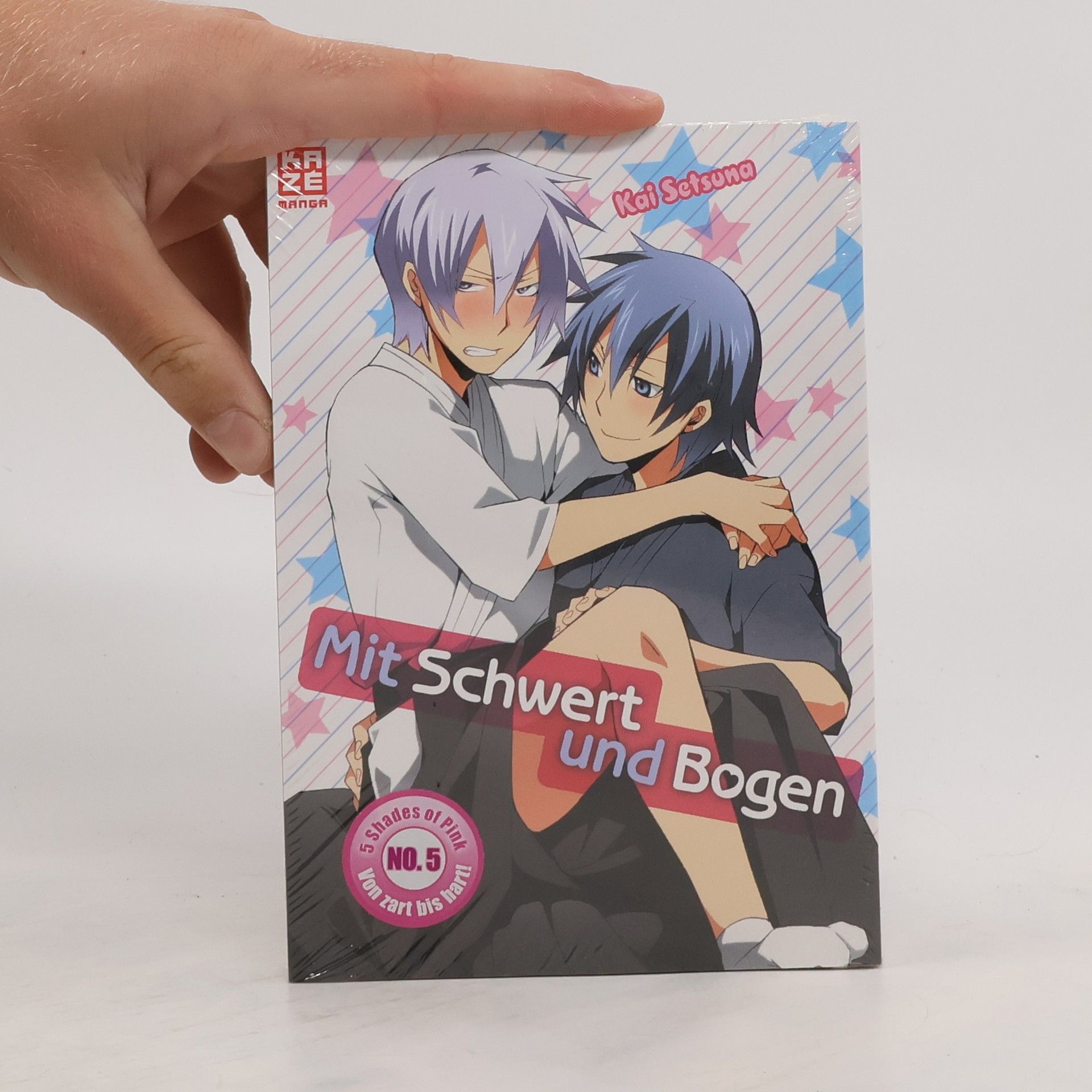 Kai Setsuna Mit Schwert und Bogen