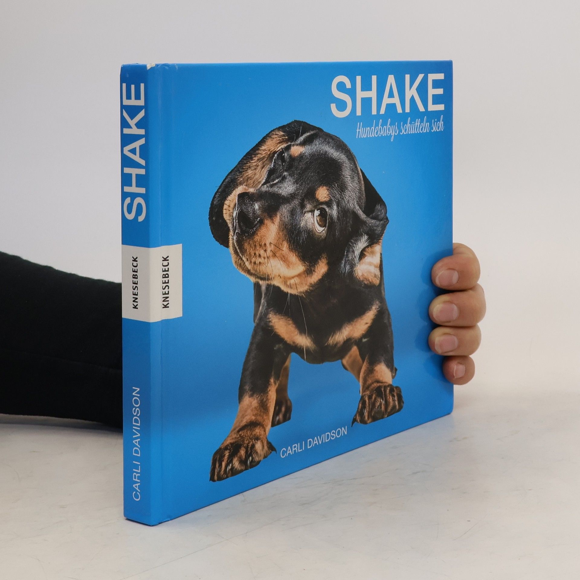 Carli Davidson Shake – Hundebabys schütteln sich