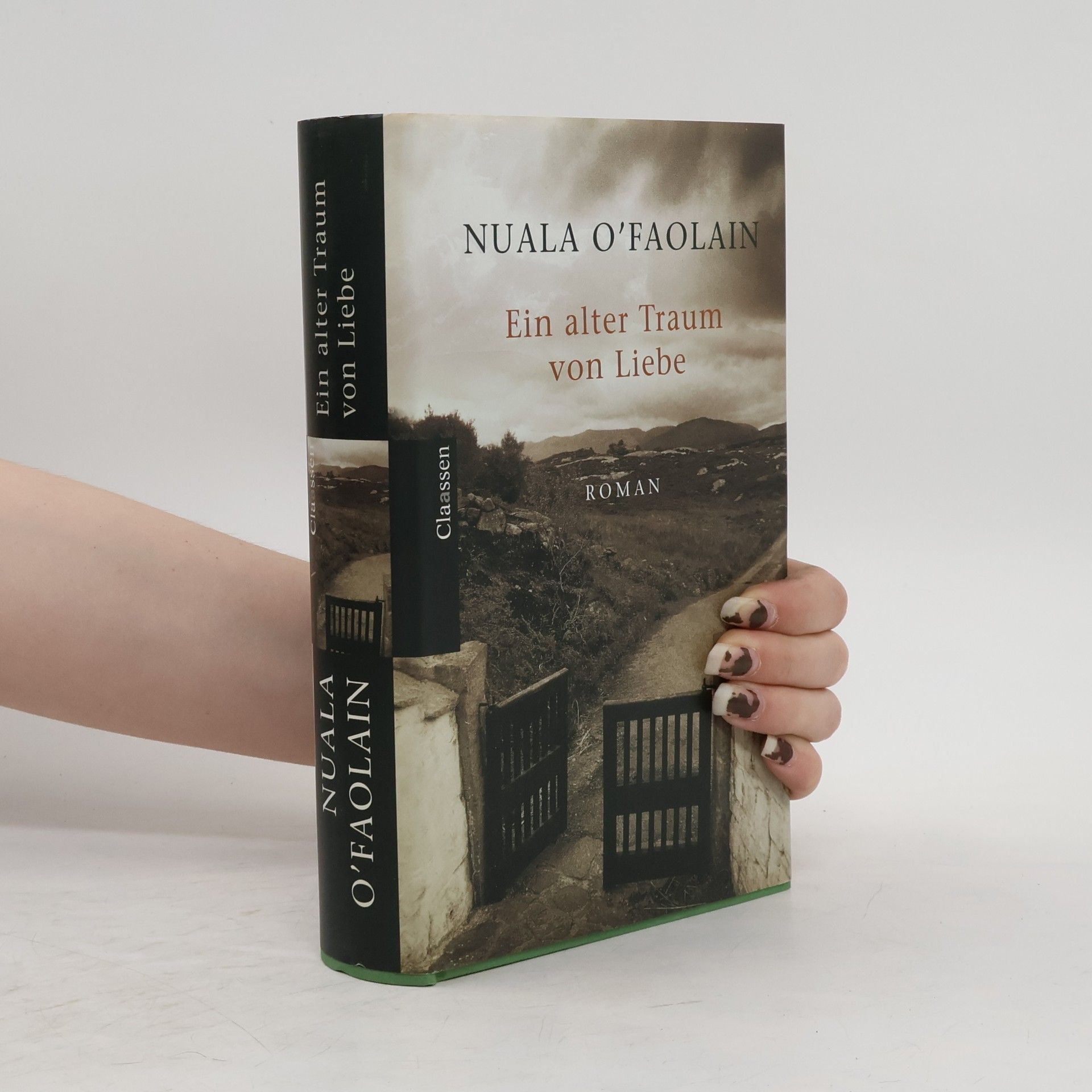 Nuala O. Faolain Ein alter Traum von Liebe