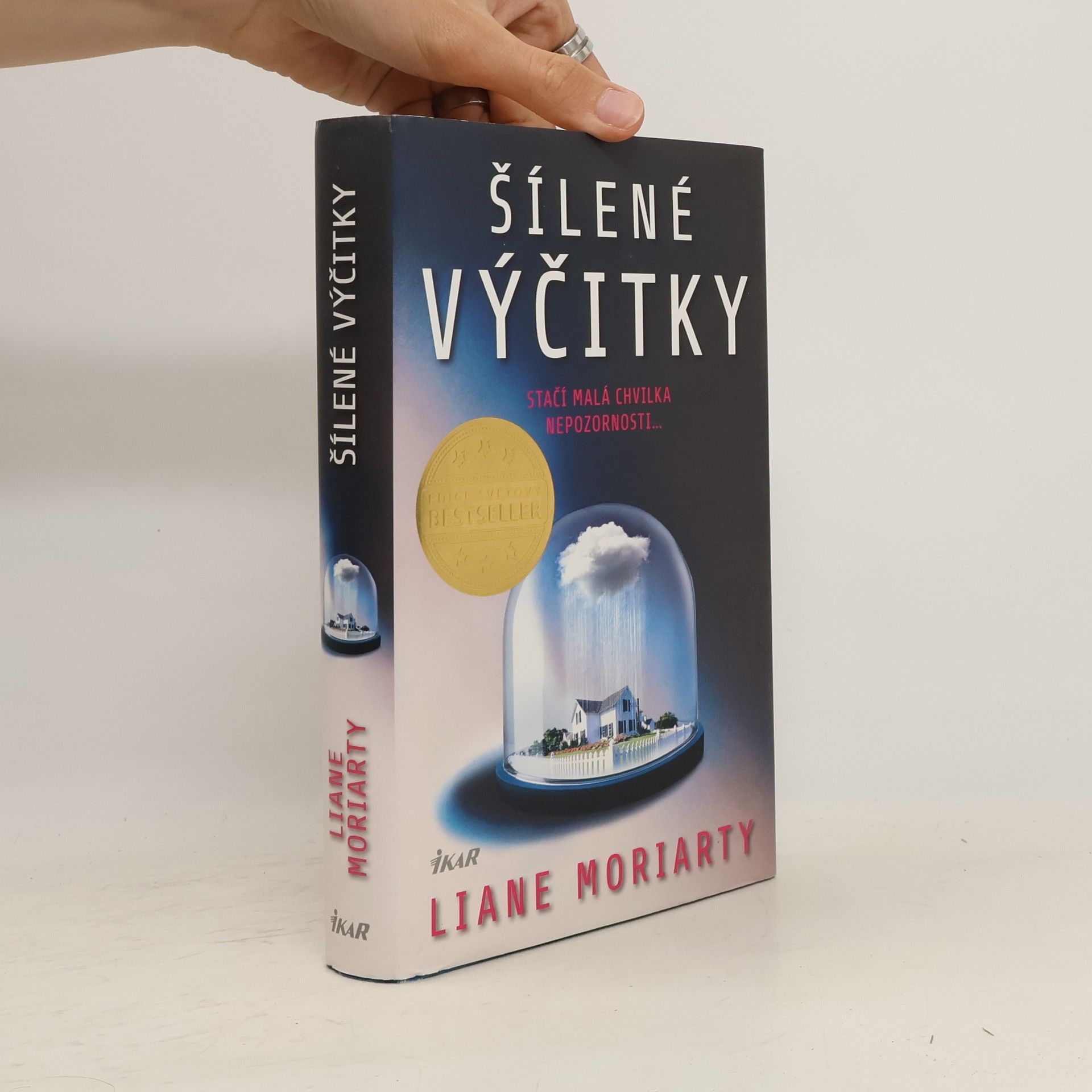 Liane Moriarty Šílené výčitky