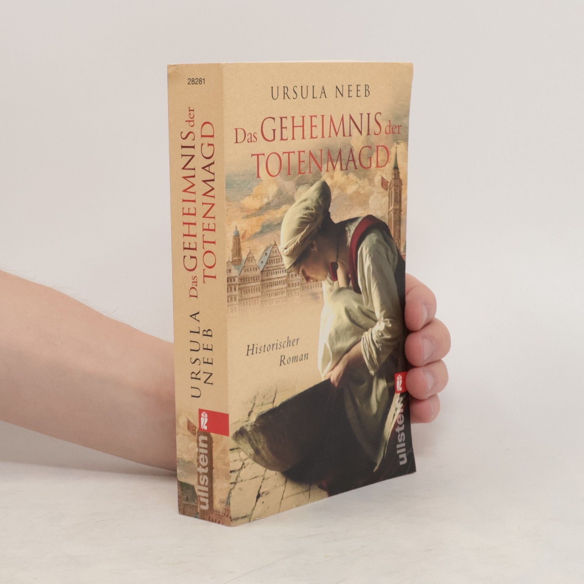 Ursula Neeb Das Geheimnis der Totenmagd