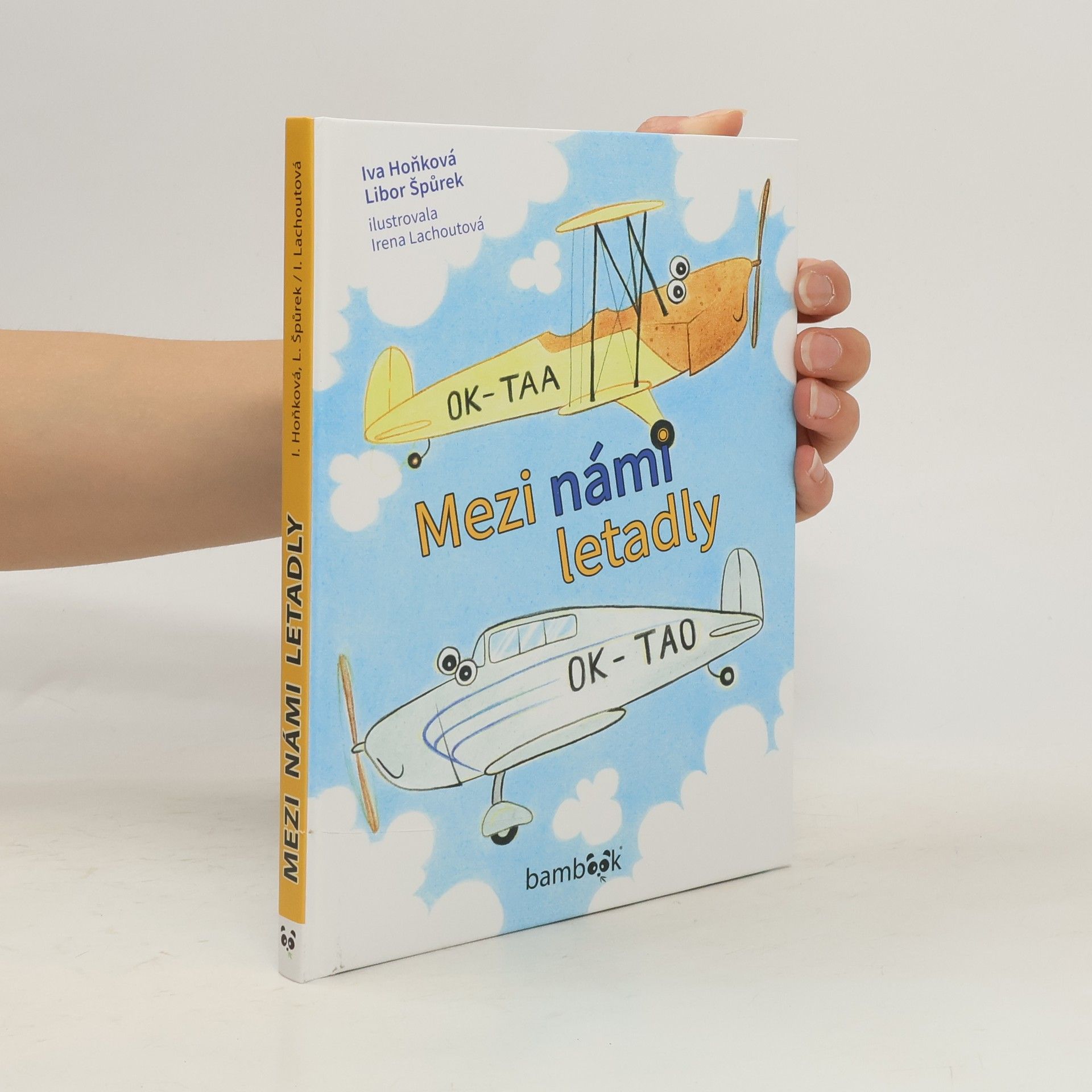 Vladimíra Hoňková Mezi námi letadly