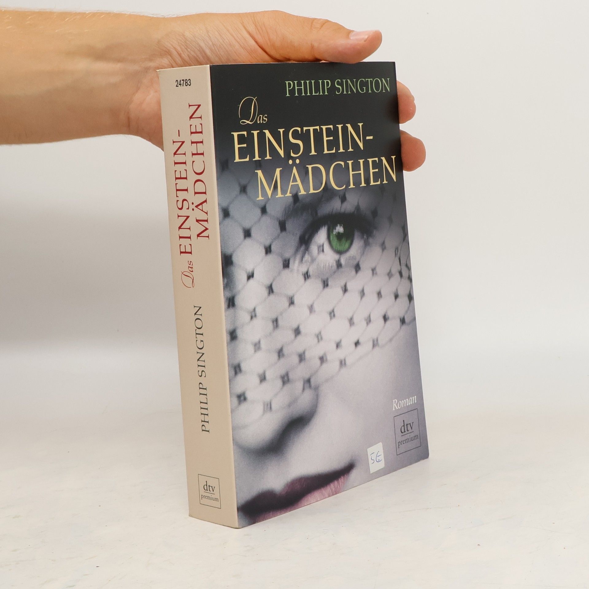 Philip Sington Das Einstein-Mädchen