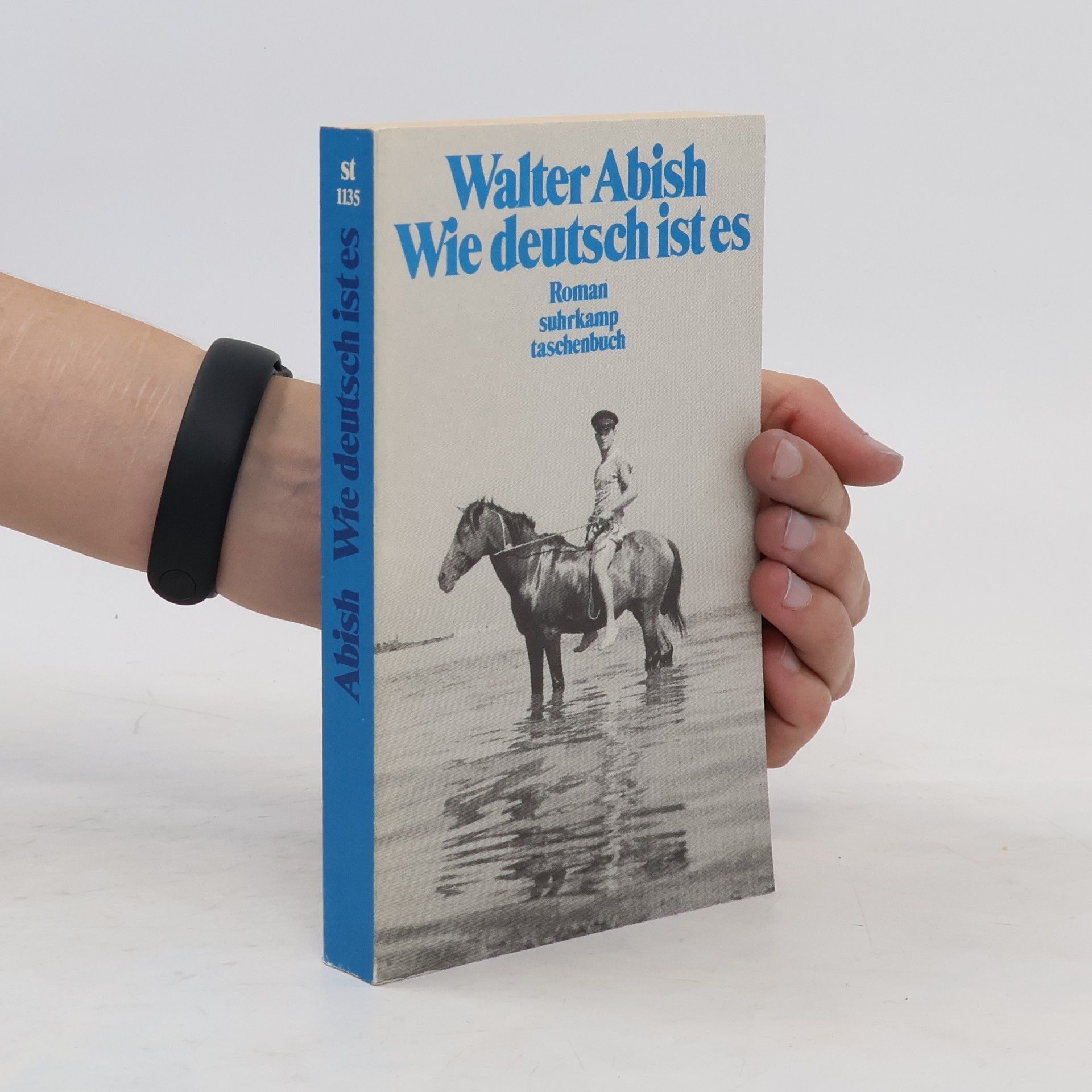 Walter Abish Wie deutsch ist es
