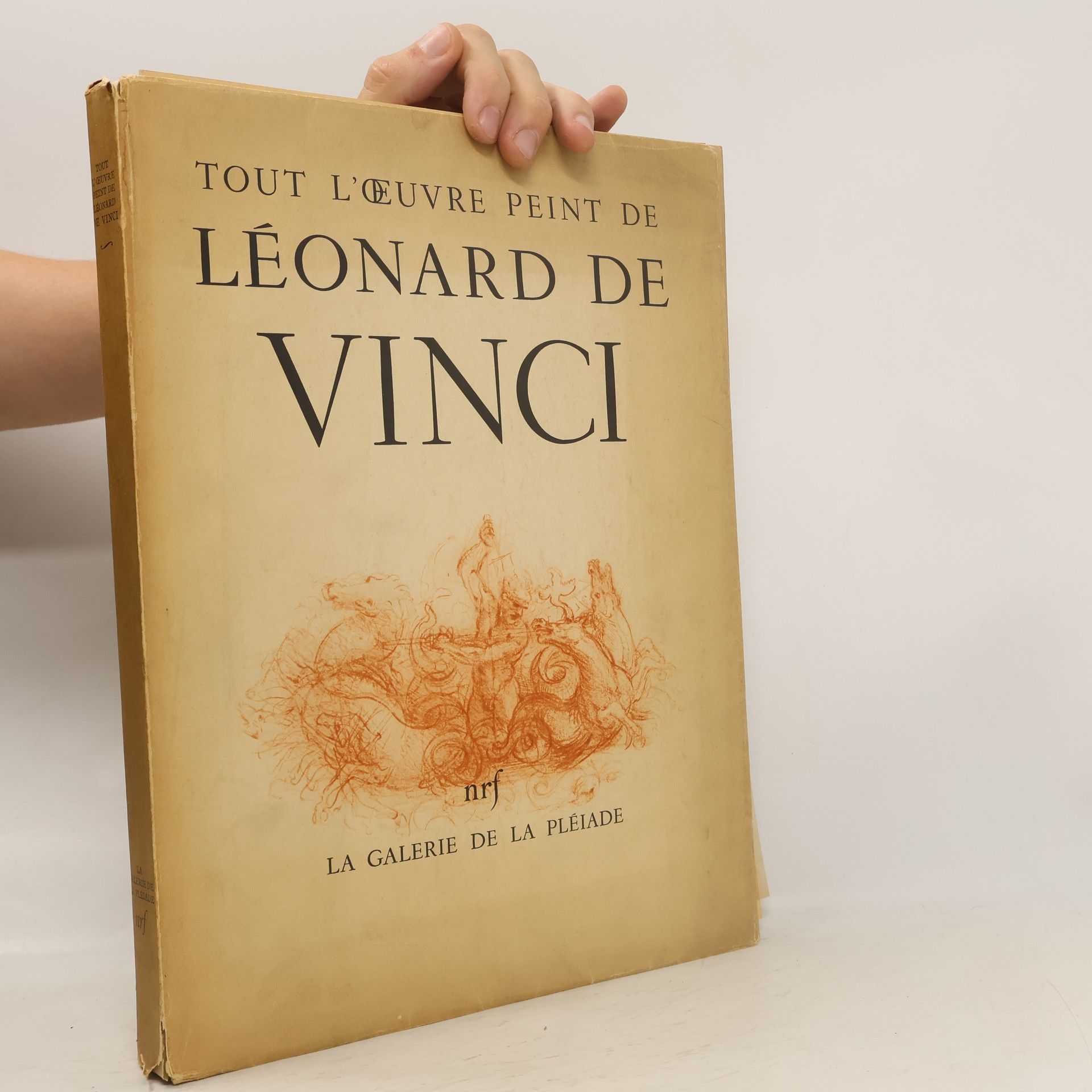 Collectif d'auteurs Tout l'œuvre peint de Léonard de Vinci