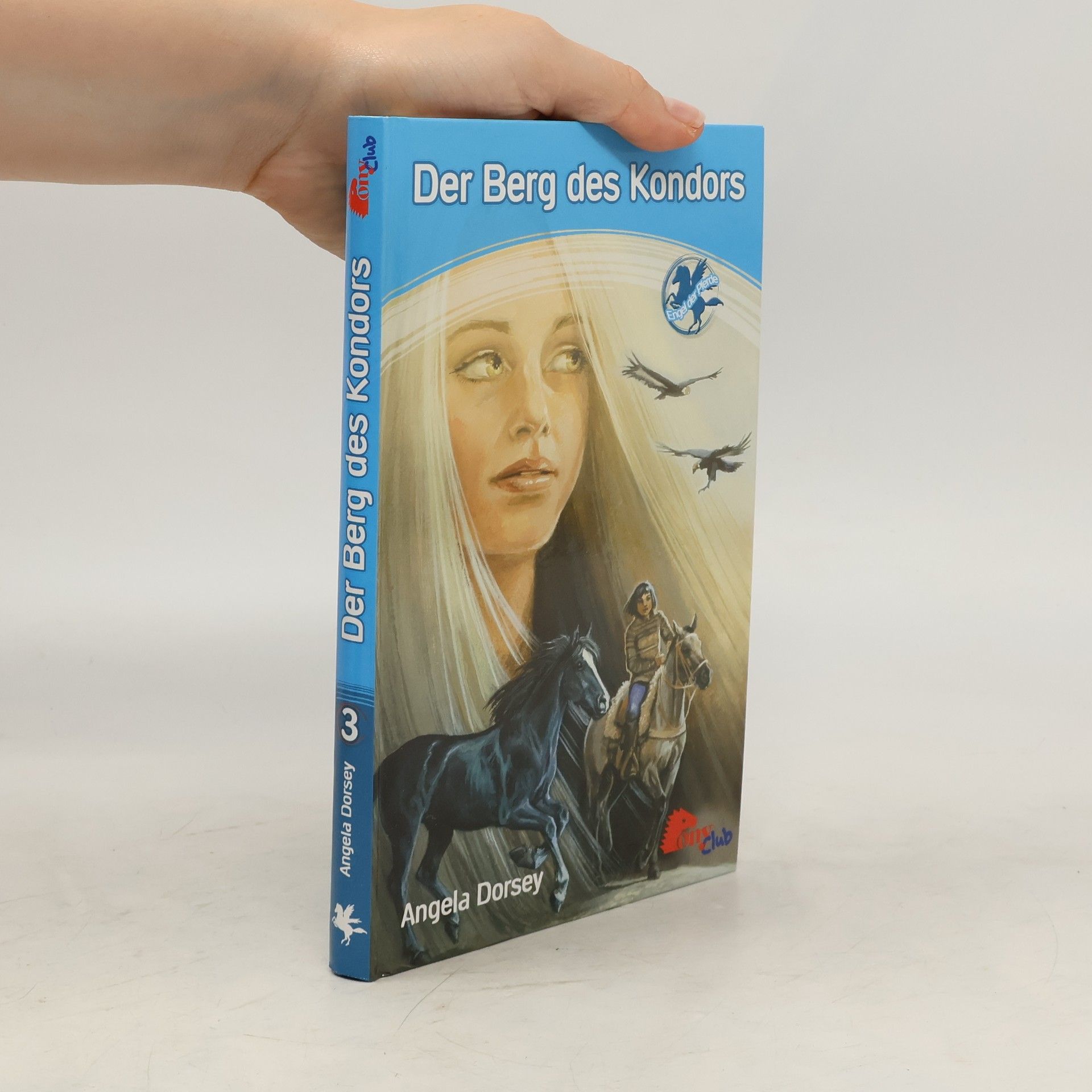 Angela Dorsey Der Berg des Kondors 3