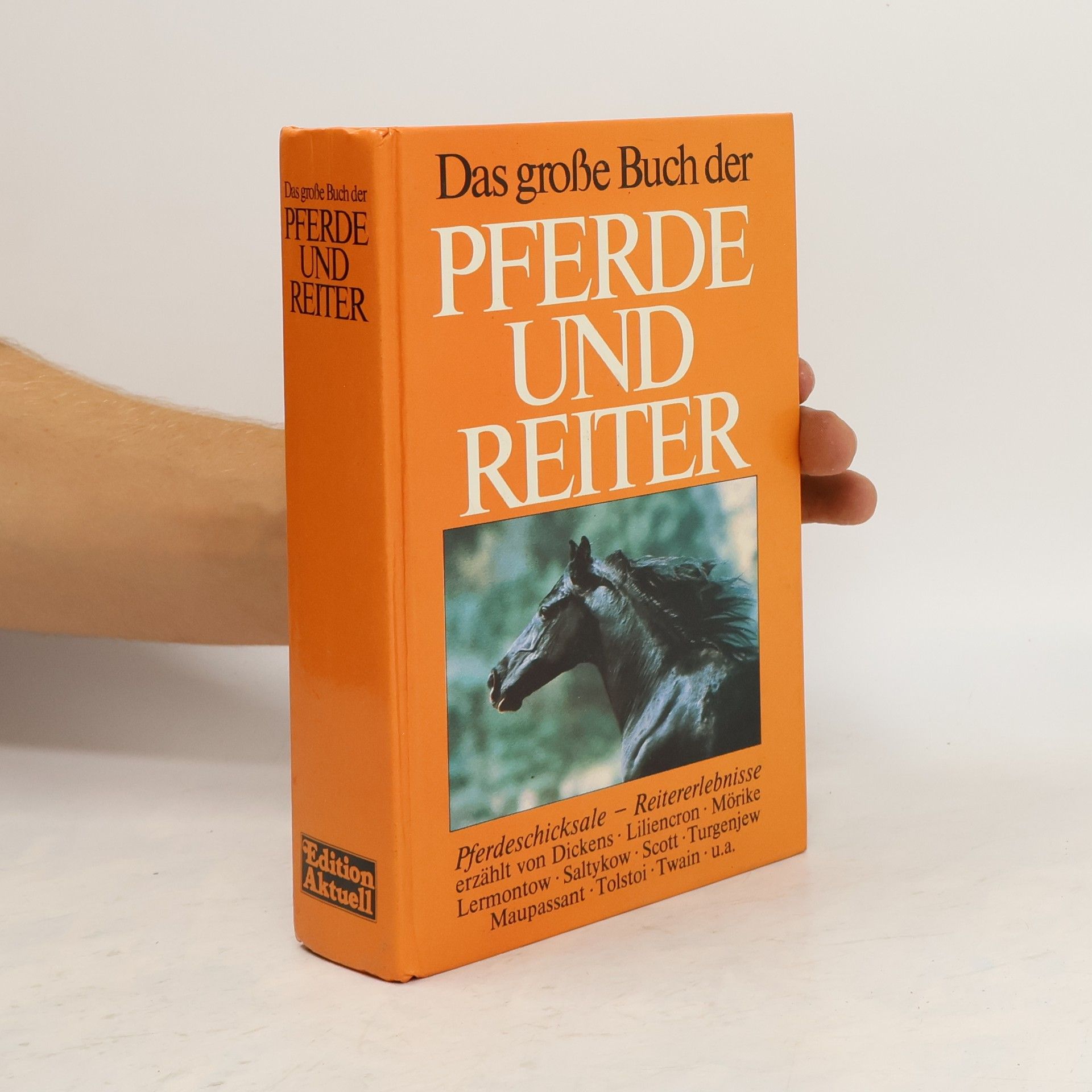 Autorenkollektiv Das große Buch der Pferde und Reiter