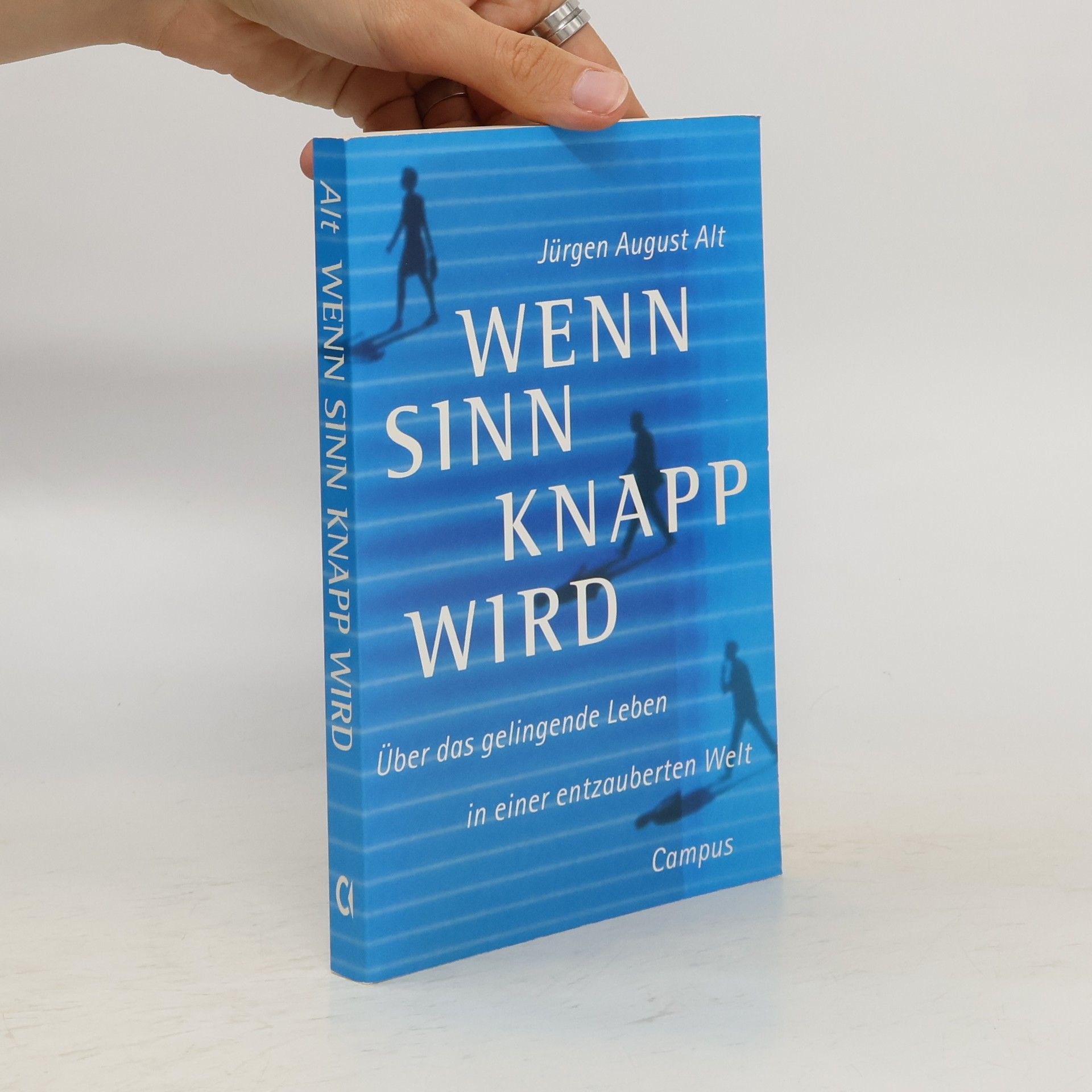 Jürgen August Alt Wenn Sinn knapp wird