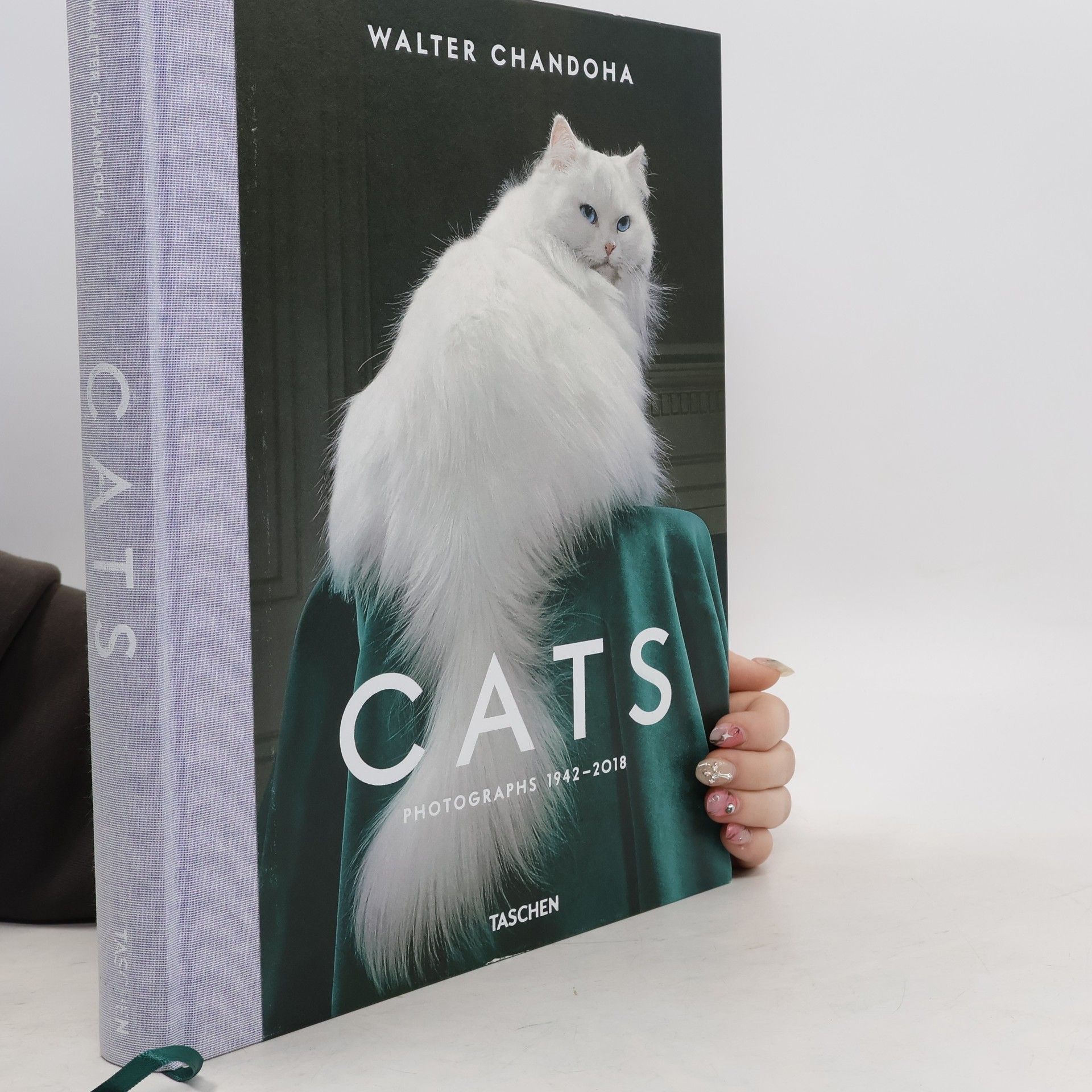 Walter Chandoha Cats