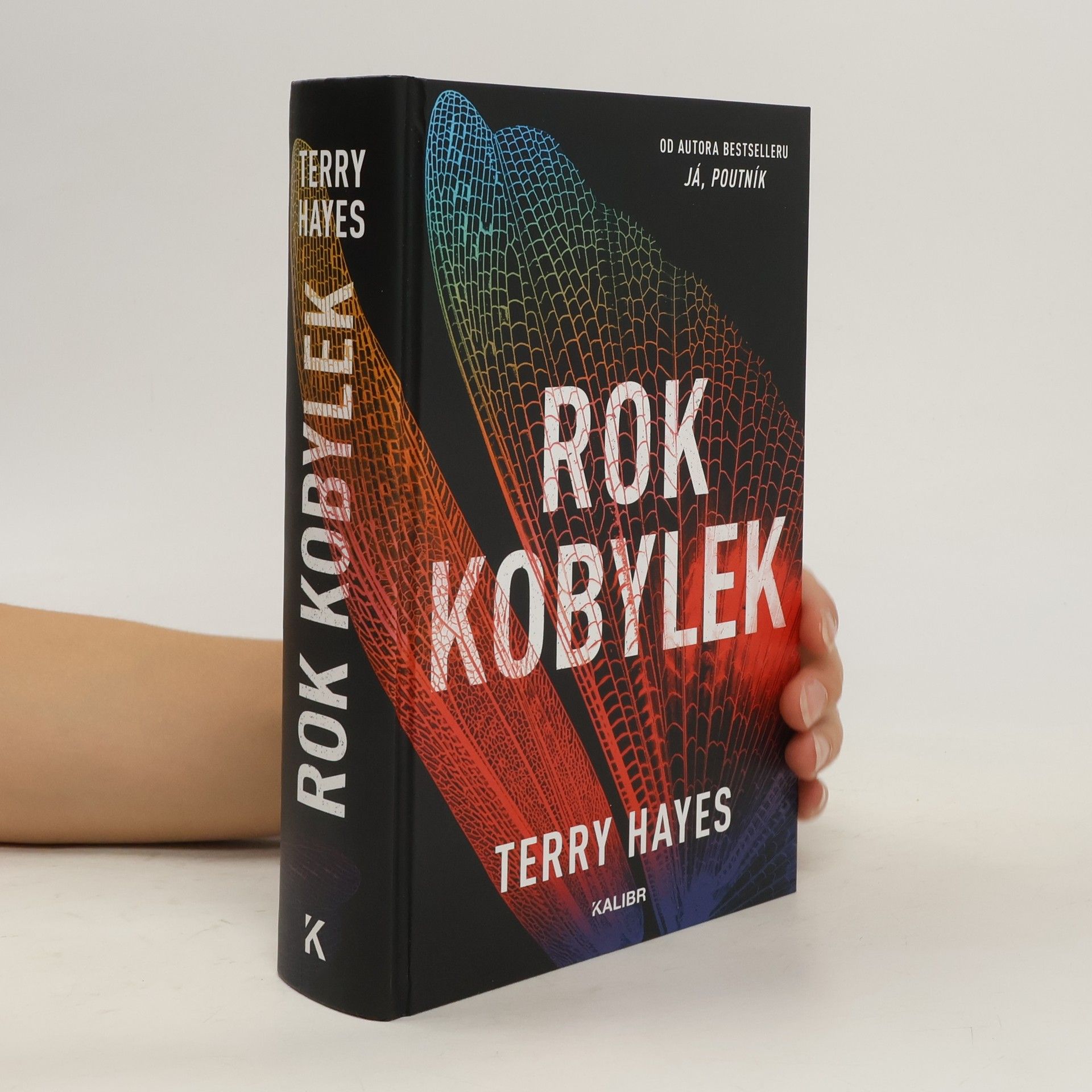 Terry Hayes Rok kobylek