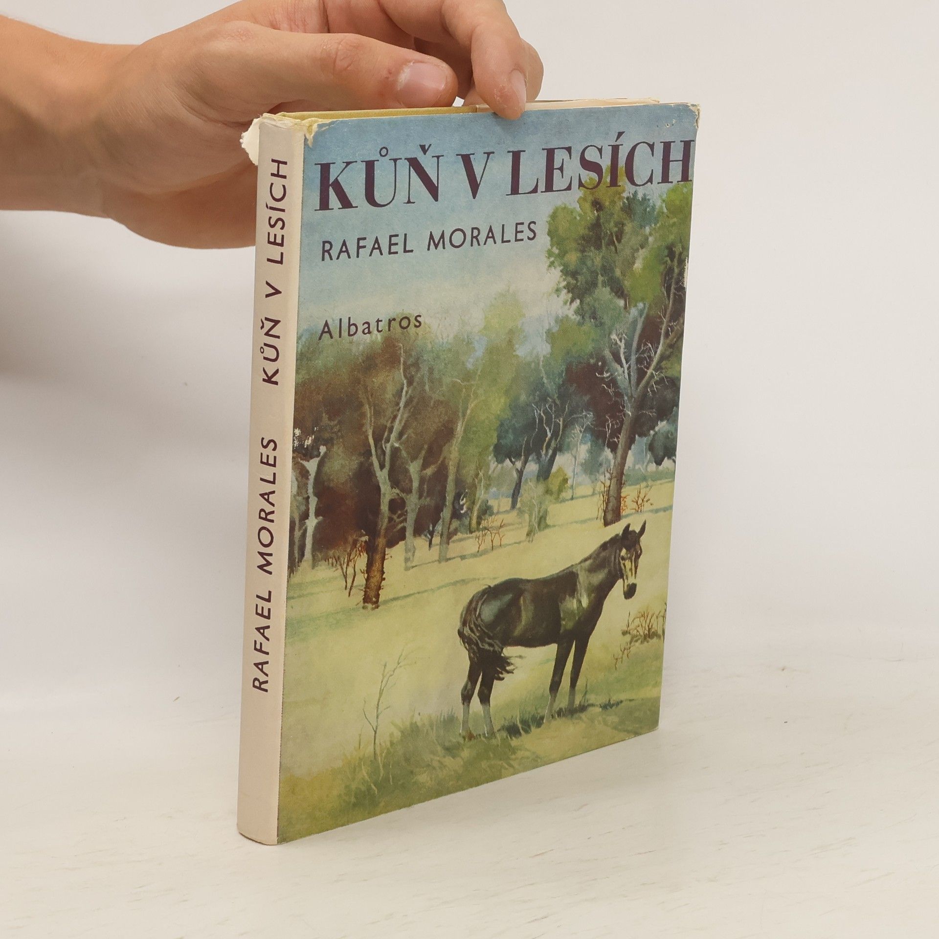 Rafael Morales Kůň v lesích