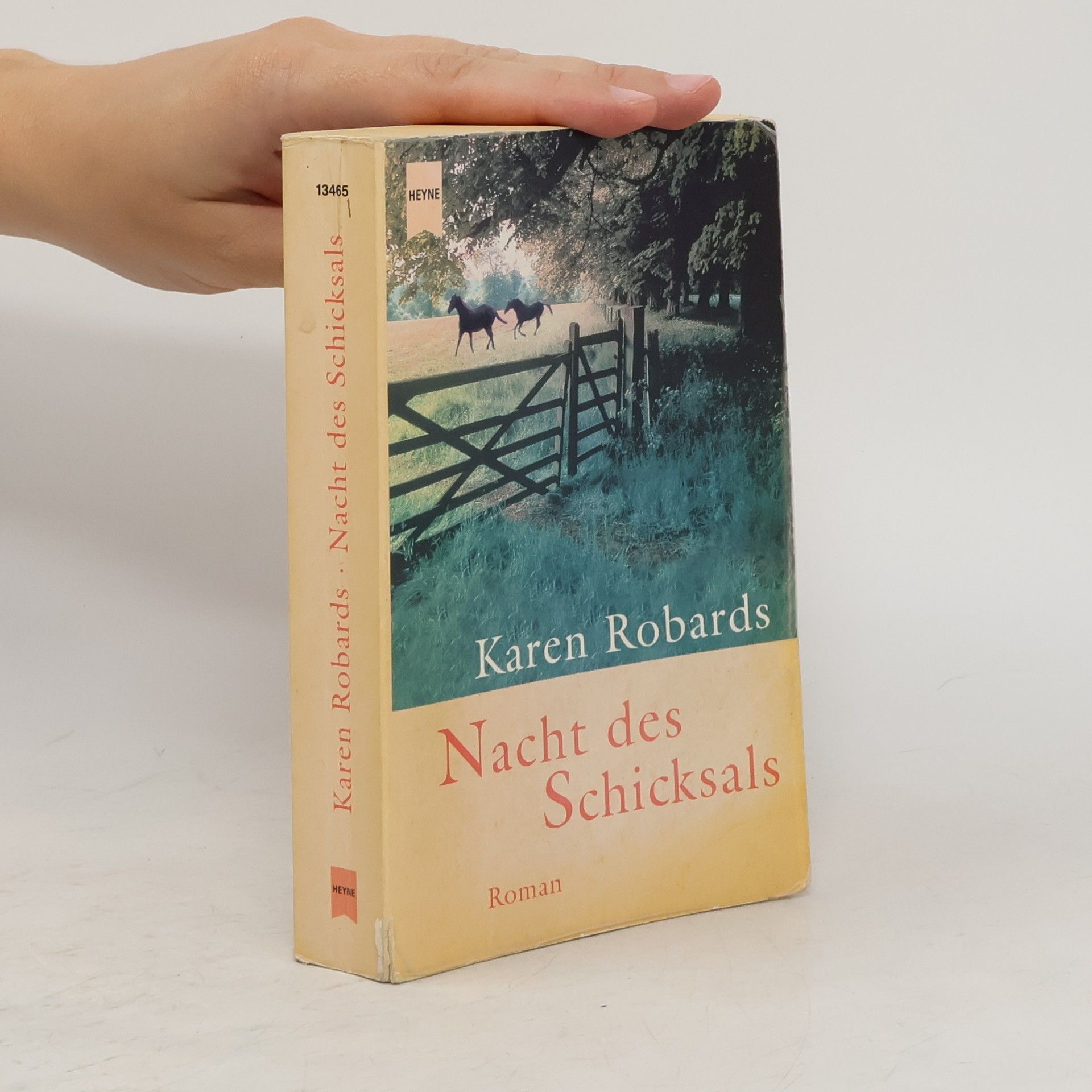 Karen Robards Nacht des Schicksals