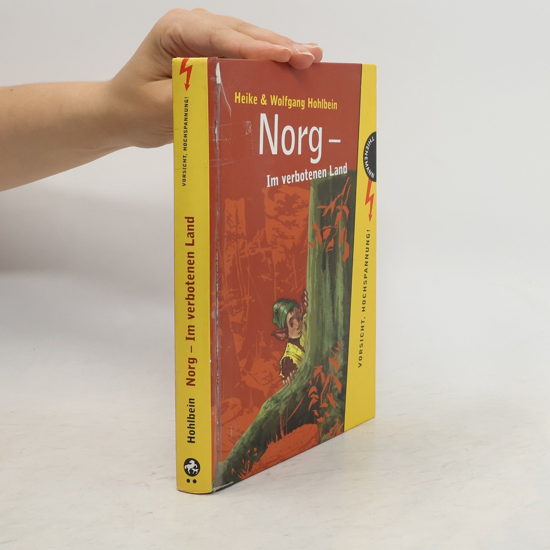 Heike Hohlbein Norg -Im verbotenen Land